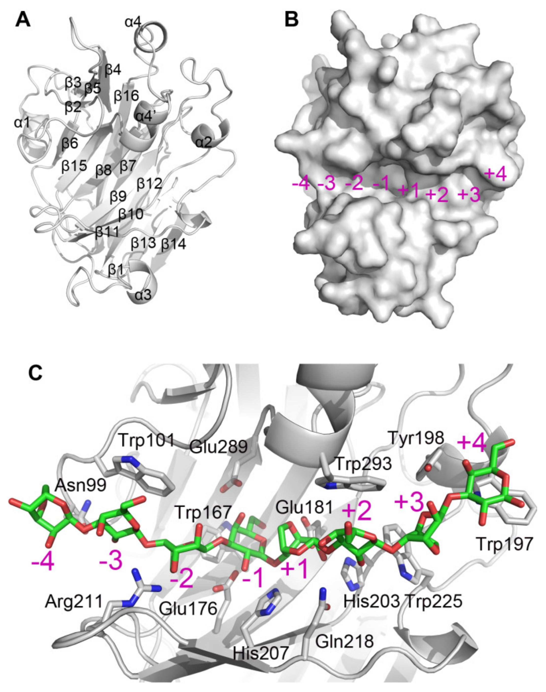 Ijms 20 02143 g002 550
