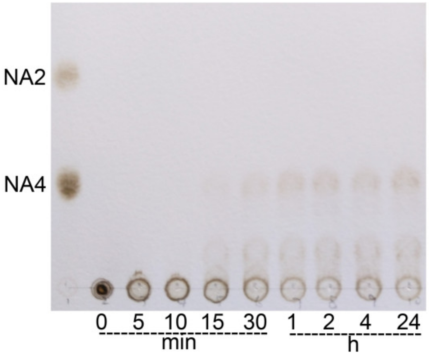 Ijms 20 02143 g005 550