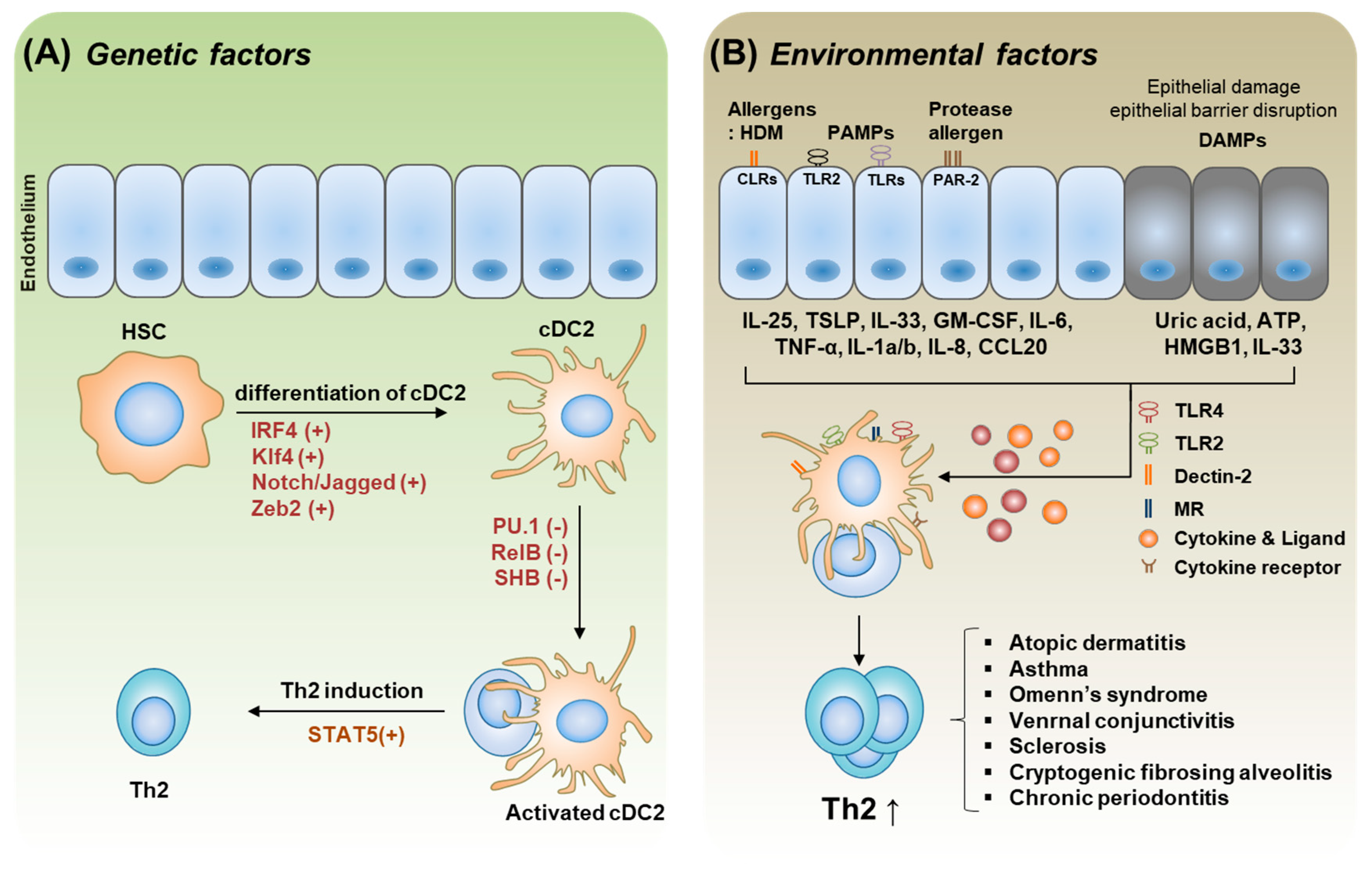 Ijms 20 02159 g003 Ijms 20 02159 g003