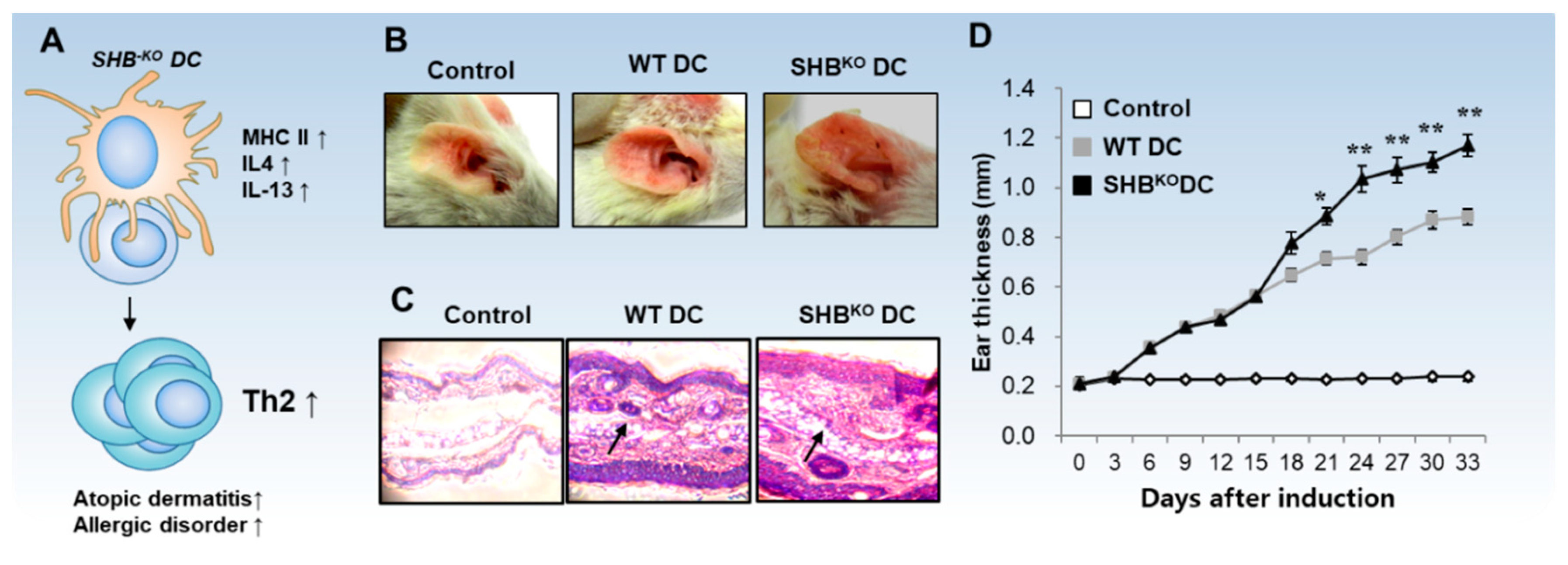 Ijms 20 02159 g004 Ijms 20 02159 g004