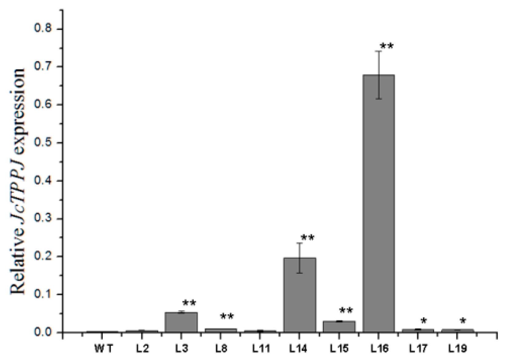 Ijms 20 02165 g008