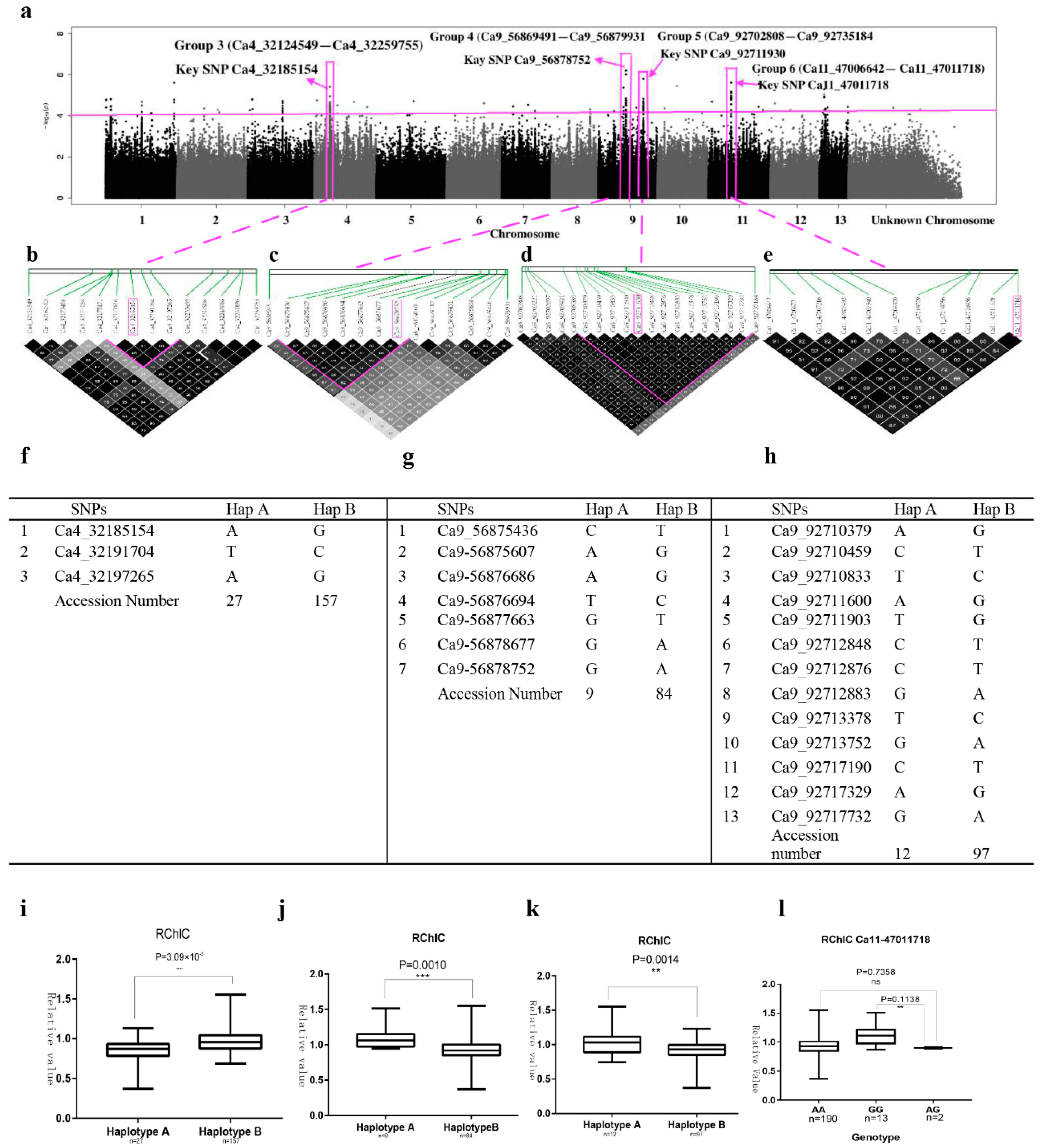 Ijms 20 02168 g004 Ijms 20 02168 g004