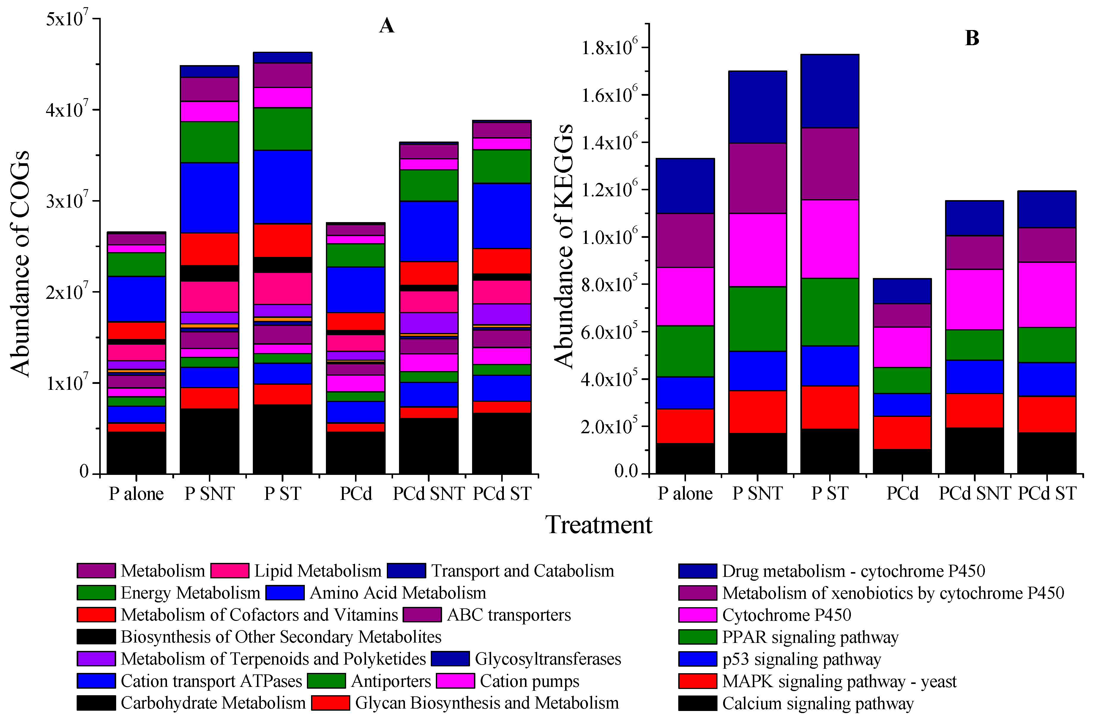 Ijms 20 02189 g005 550