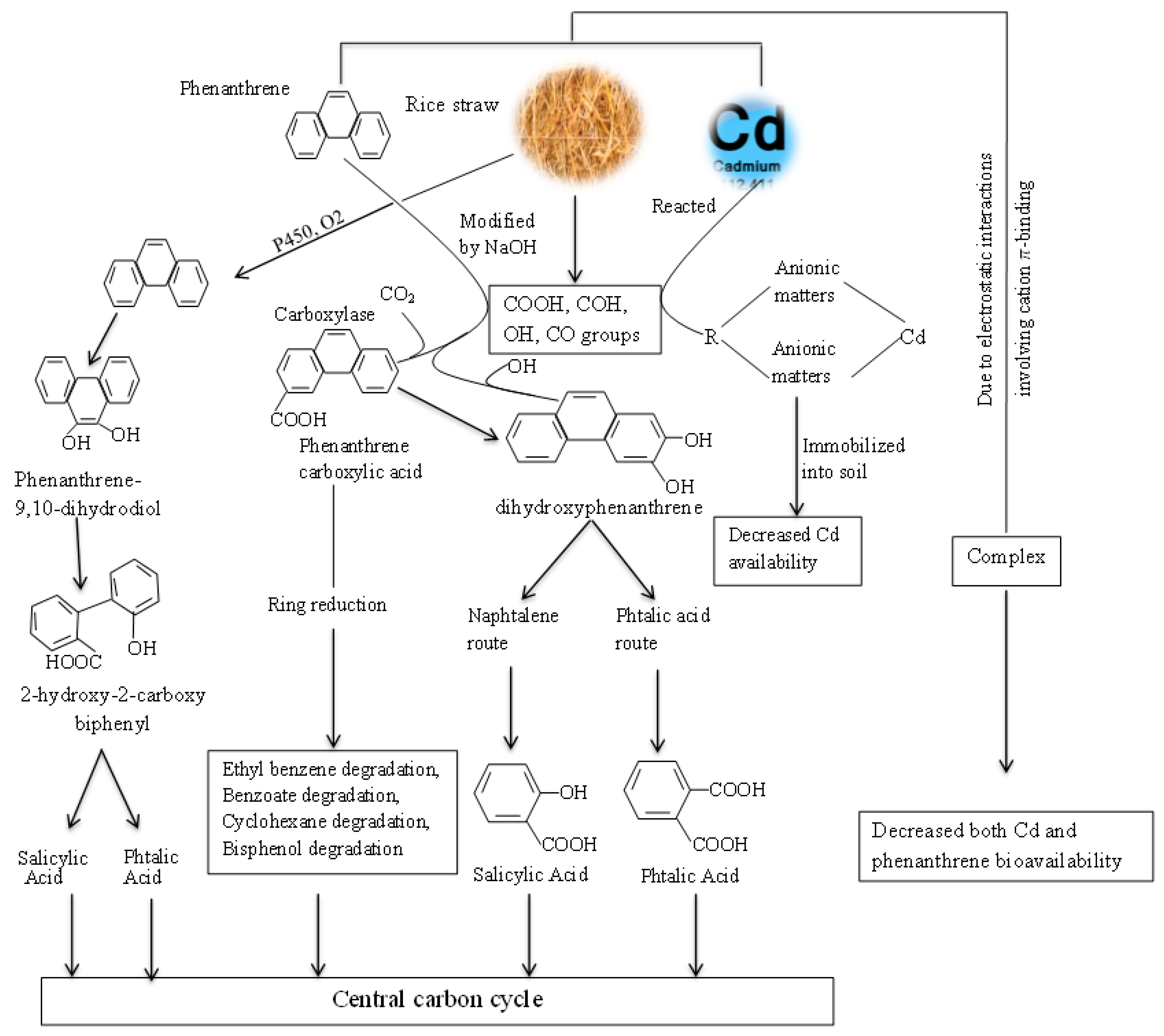 Ijms 20 02189 g008 550
