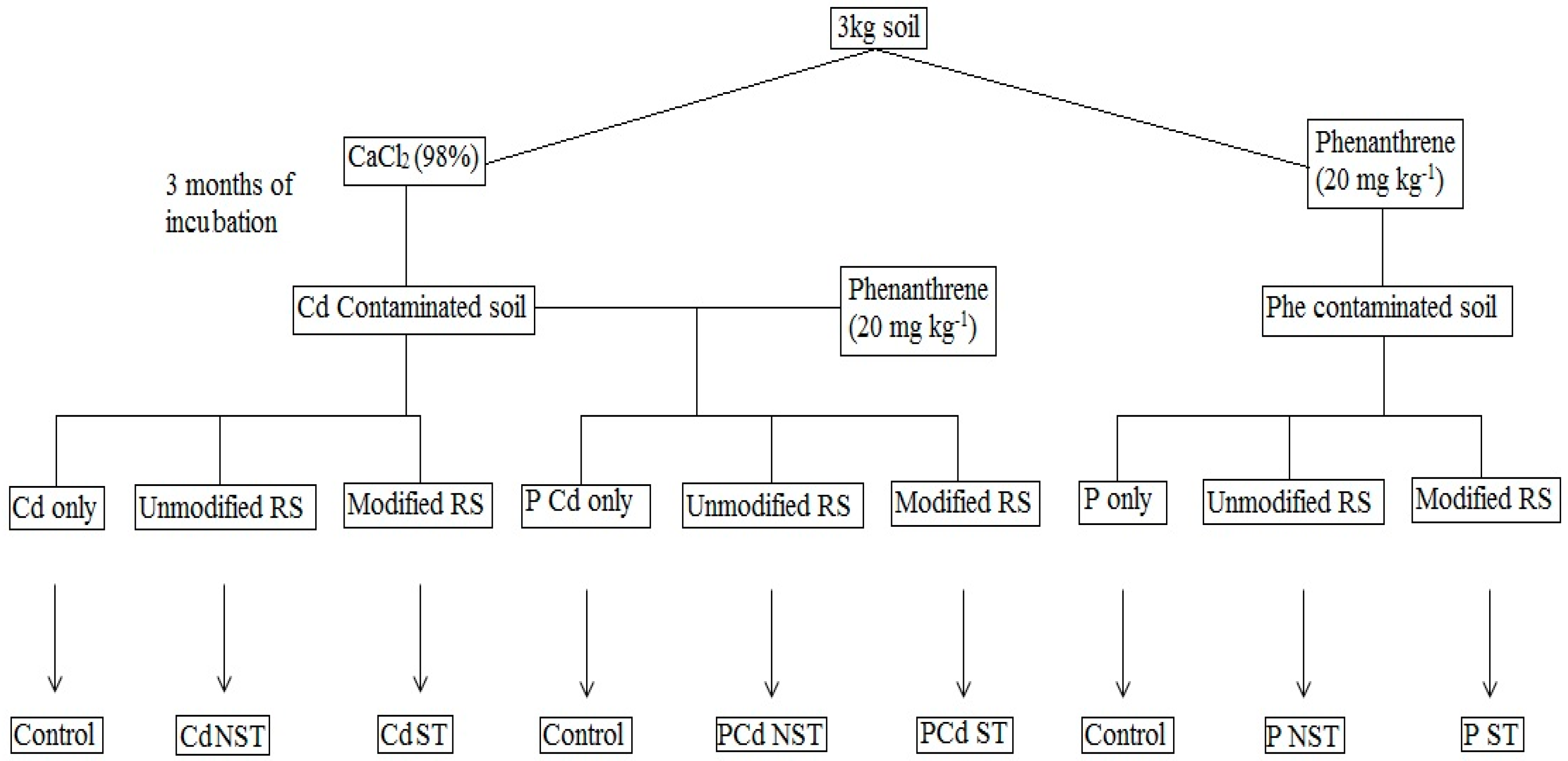 Ijms 20 02189 g009 550
