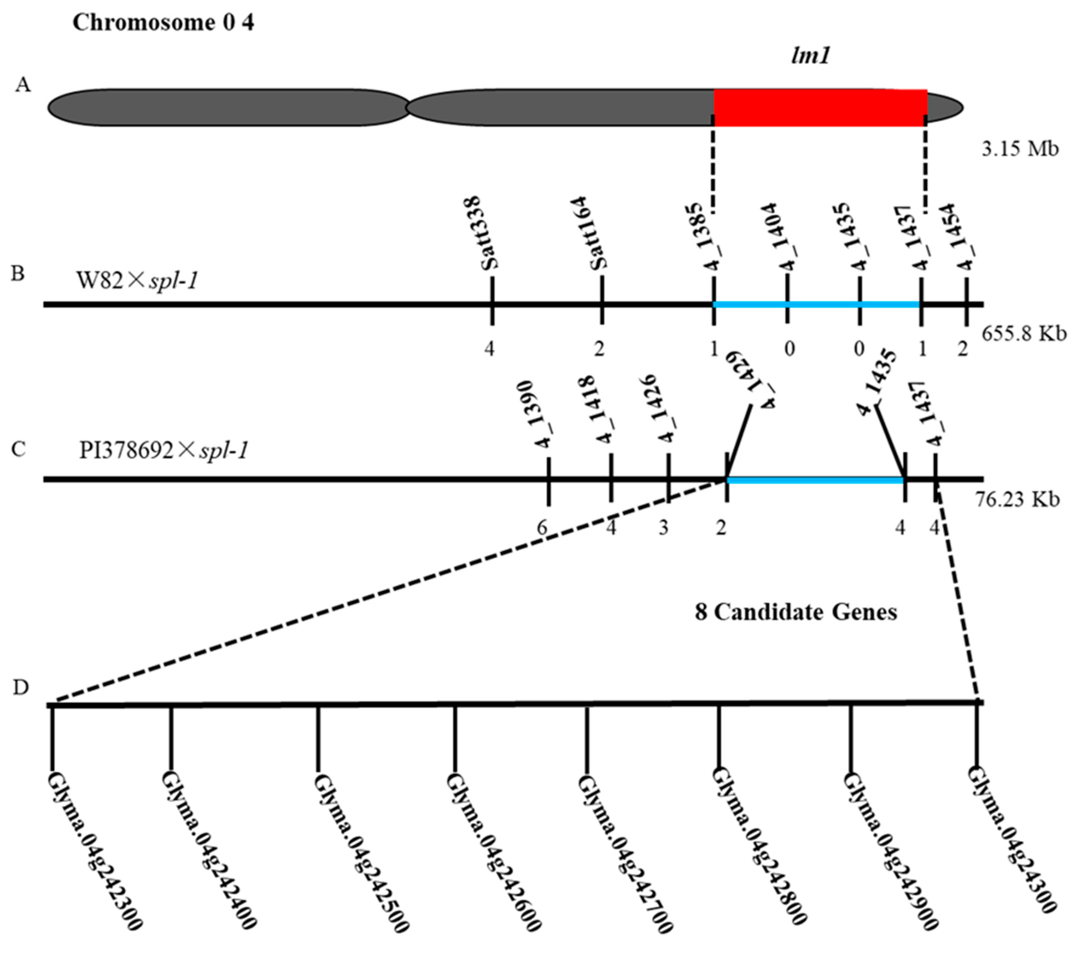 Ijms 20 02193 g007 Ijms 20 02193 g007