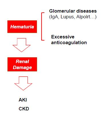 hematurie macroscopica forum