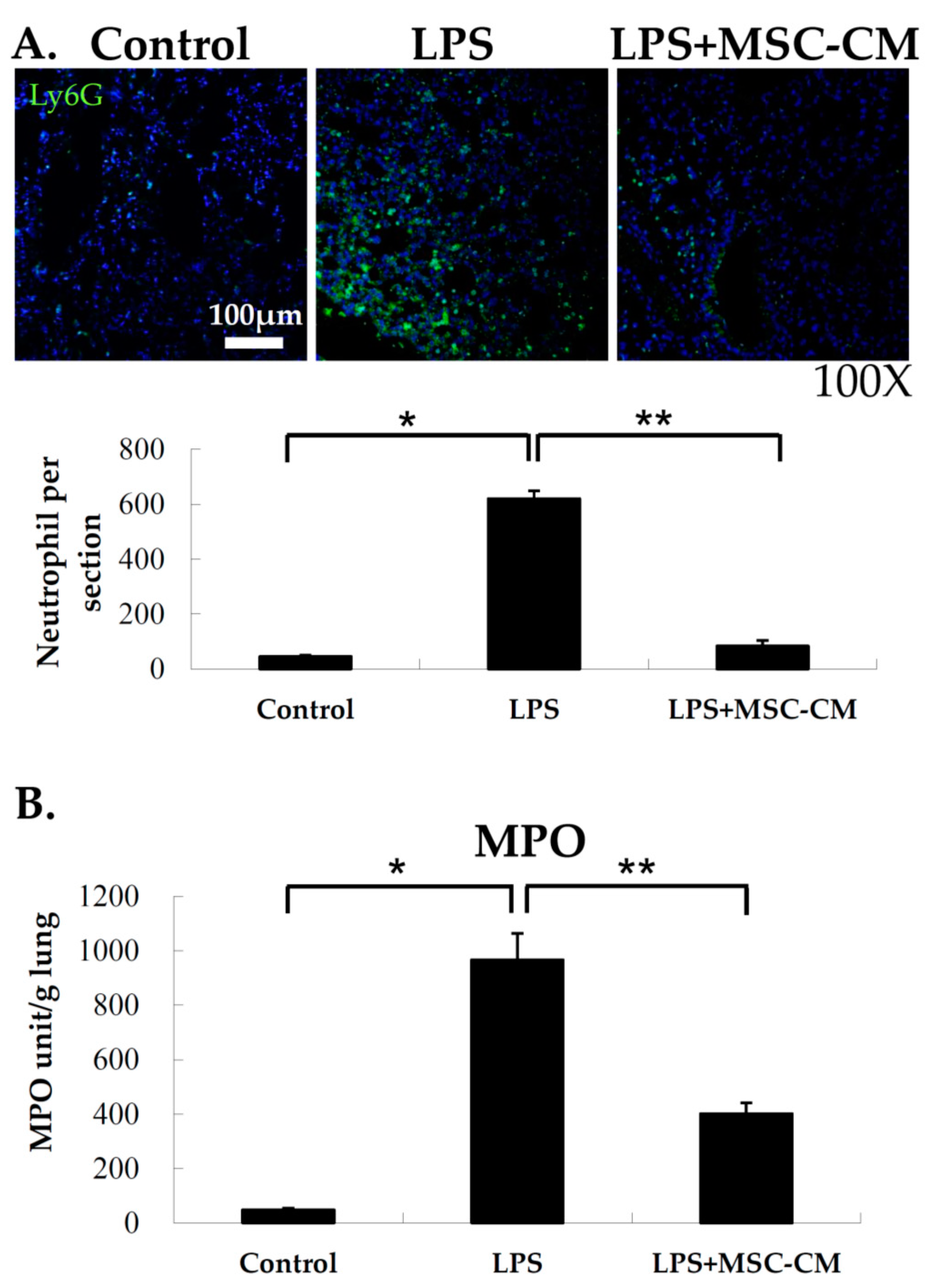 Ijms 20 02208 g003 550