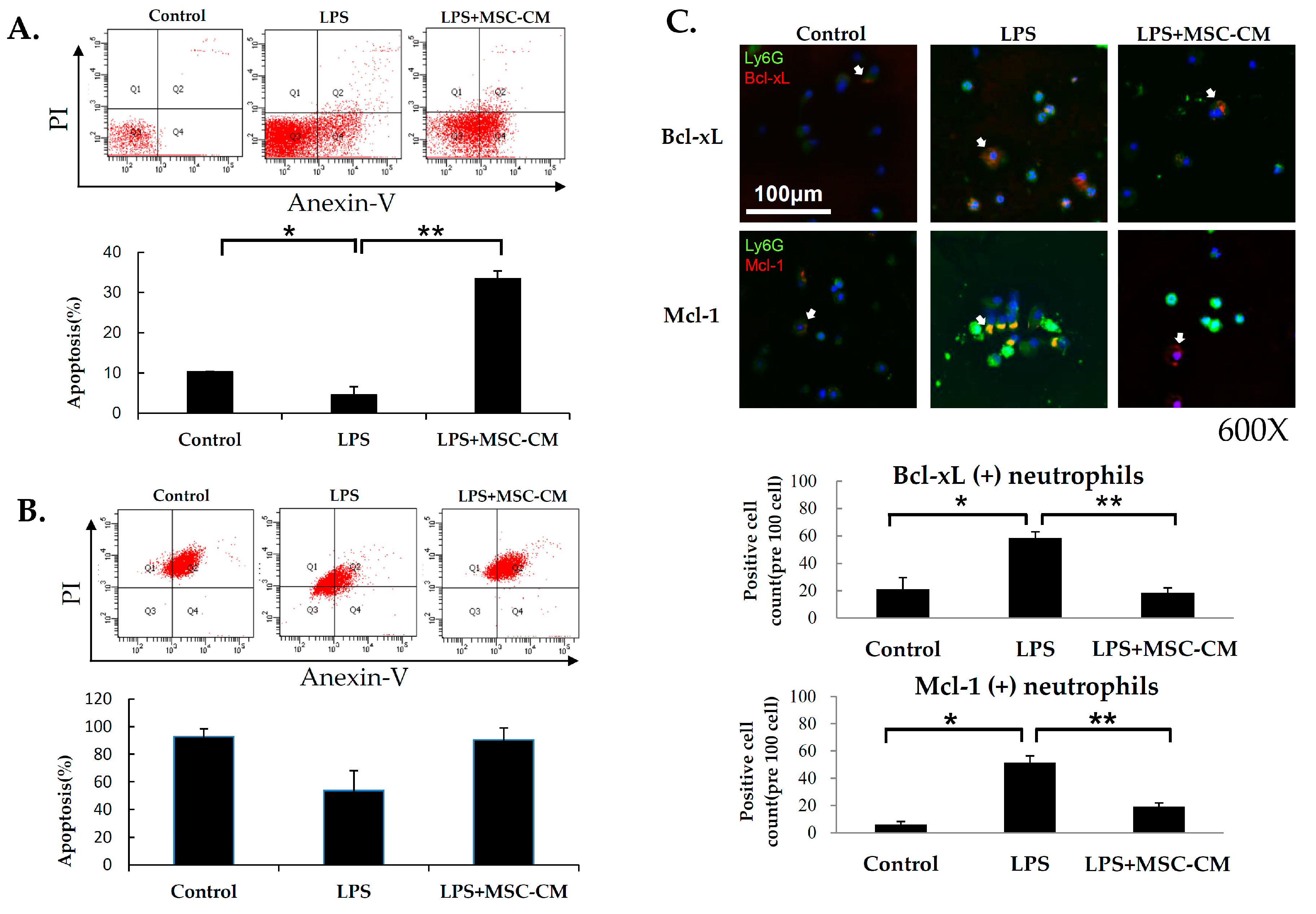 Ijms 20 02208 g004 550