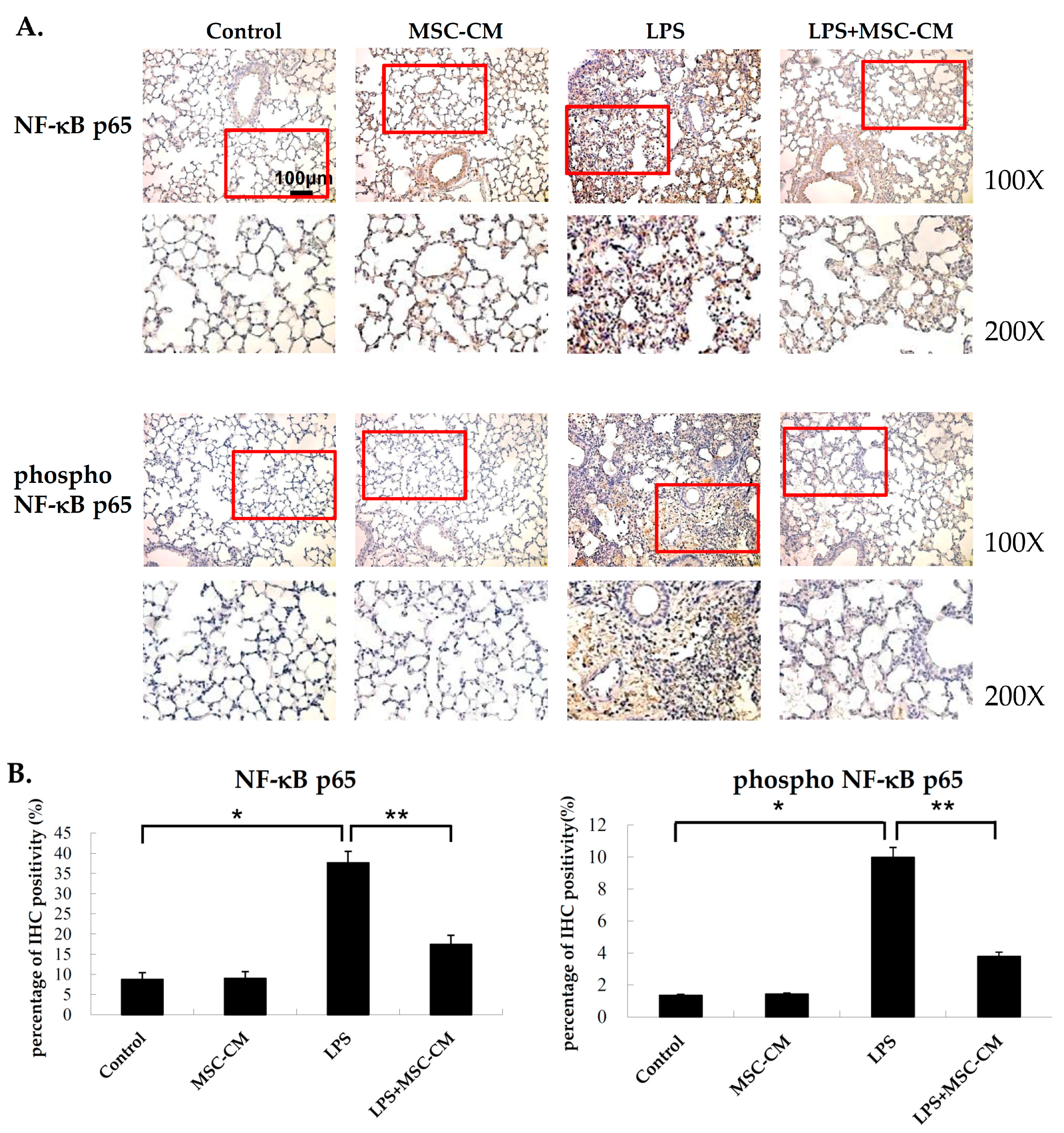 Ijms 20 02208 g005 550