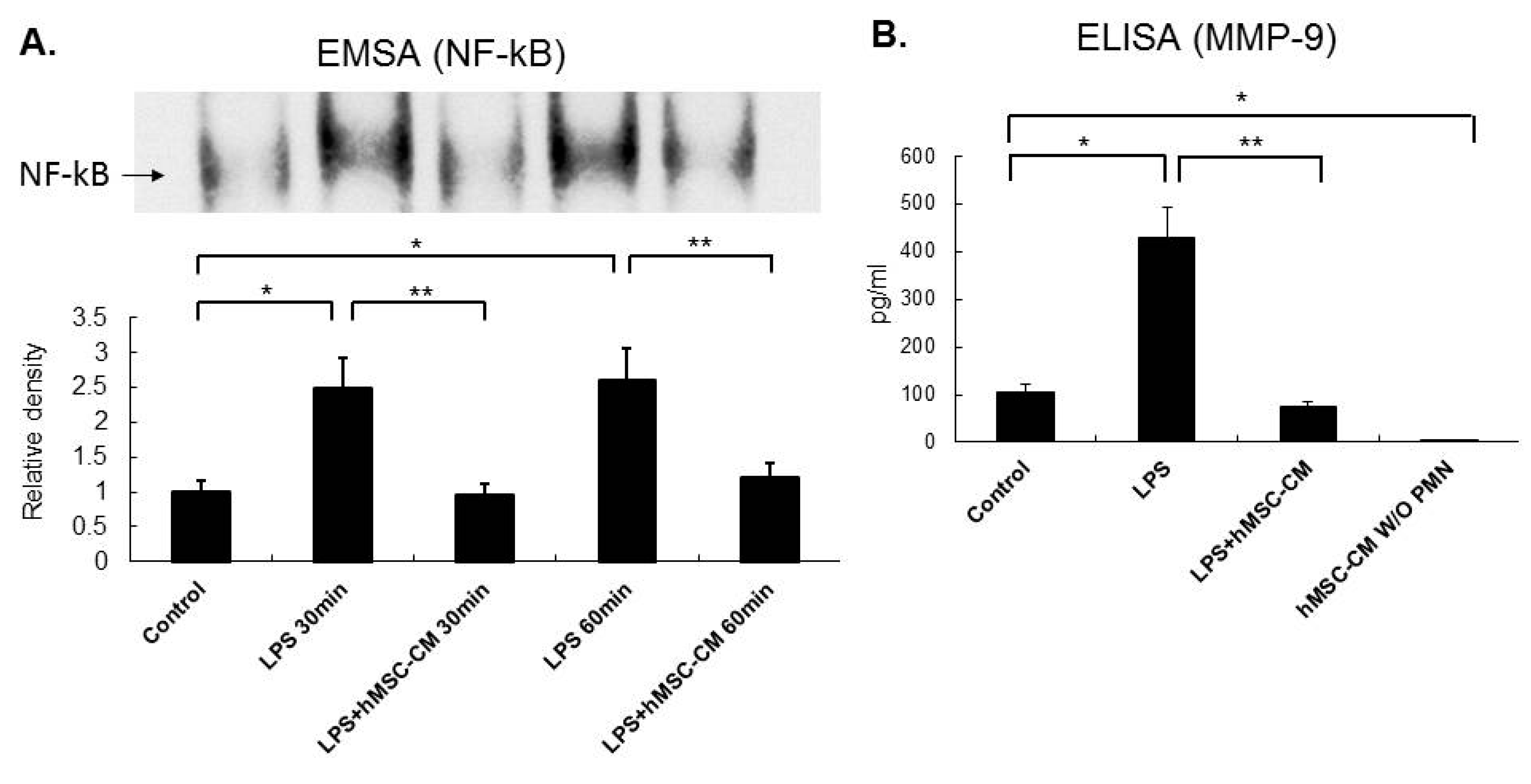 Ijms 20 02208 g006 550