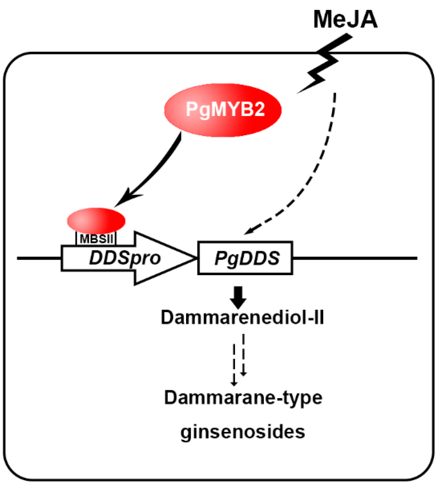 Ijms 20 02219 g008 Ijms 20 02219 g008