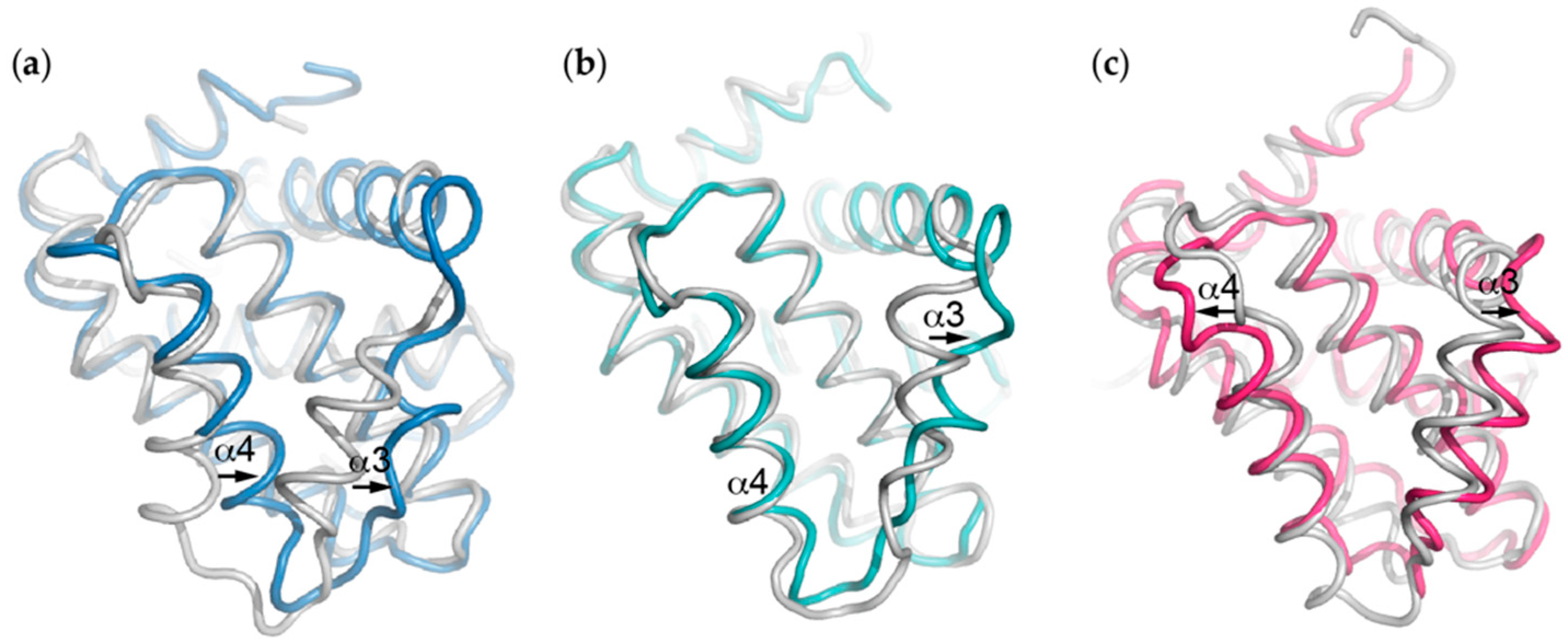 Ijms 20 02234 g003 Ijms 20 02234 g003