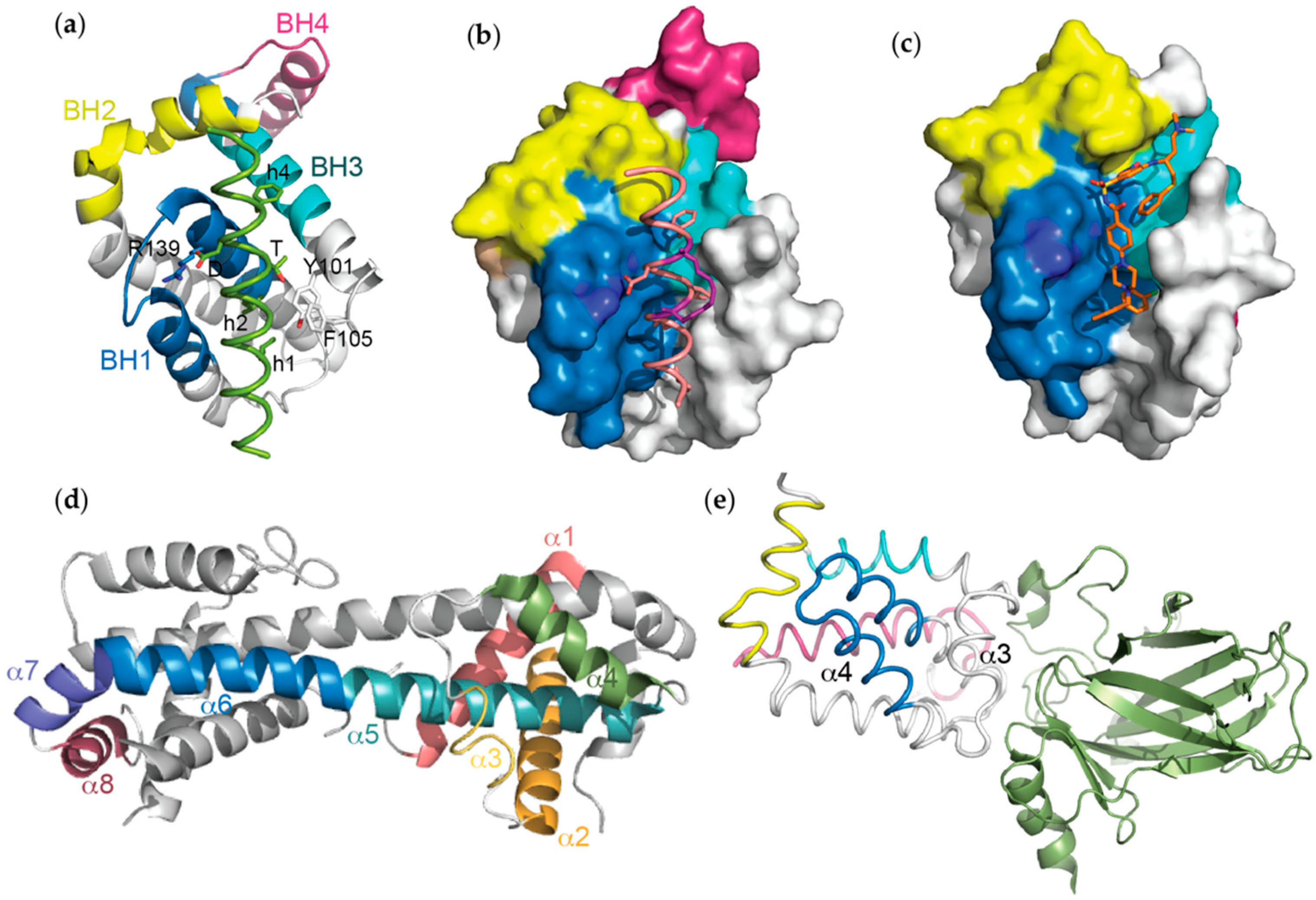 Ijms 20 02234 g004 Ijms 20 02234 g004