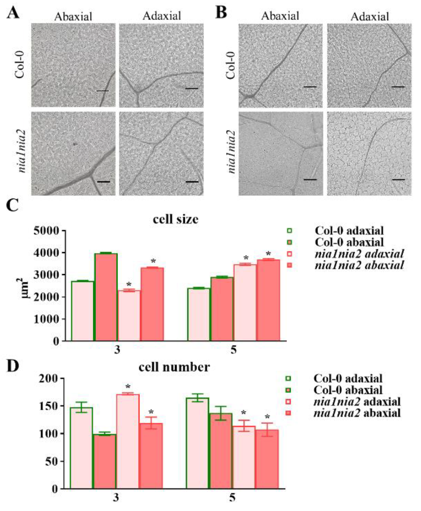 Ijms 20 02235 g002 Ijms 20 02235 g002