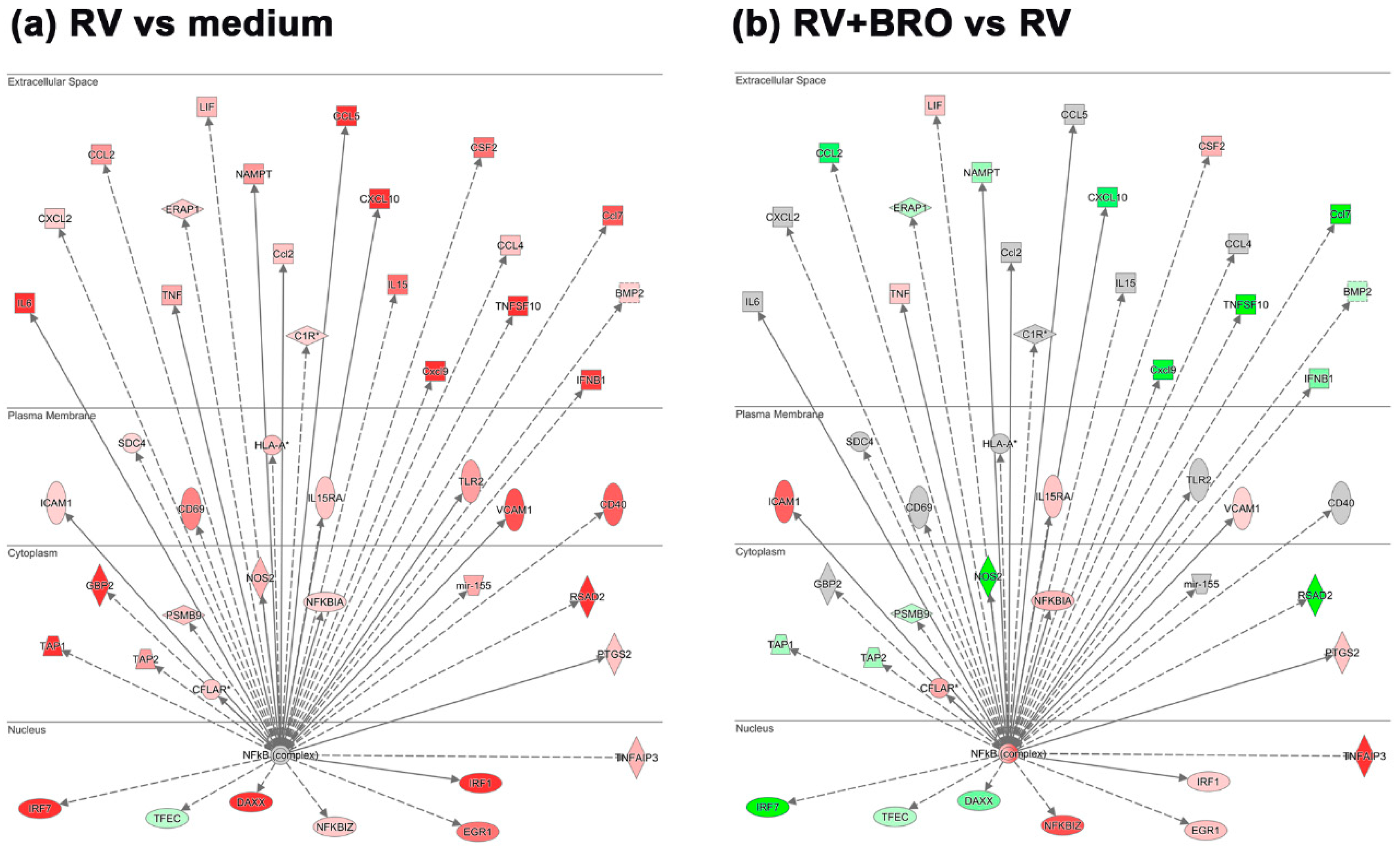 Ijms 20 02242 g004 550