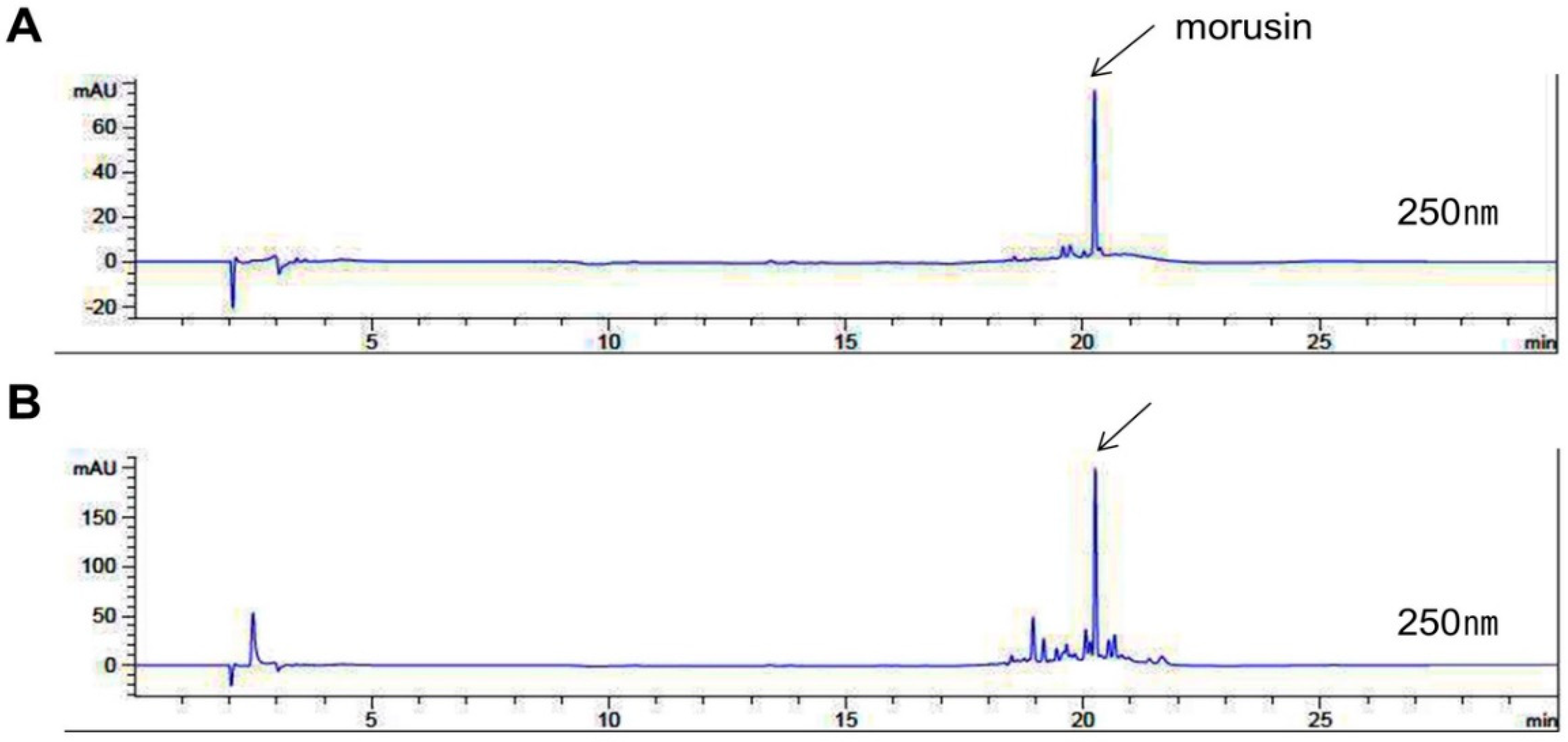Ijms 20 02244 g001 Ijms 20 02244 g001