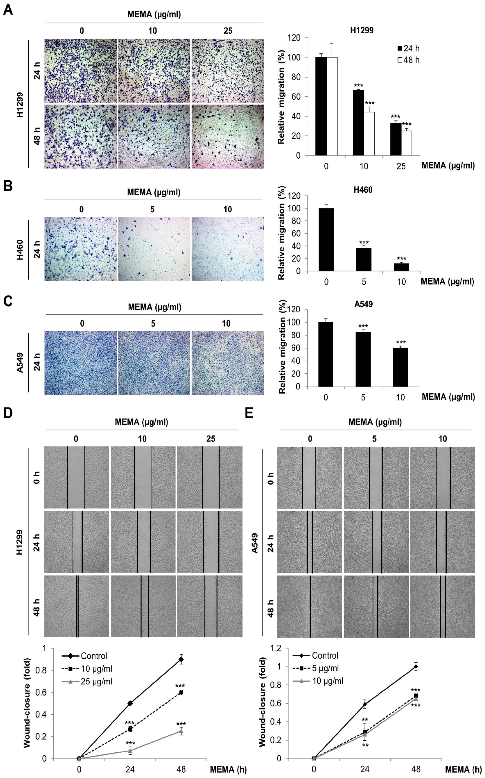 Ijms 20 02244 g003 Ijms 20 02244 g003