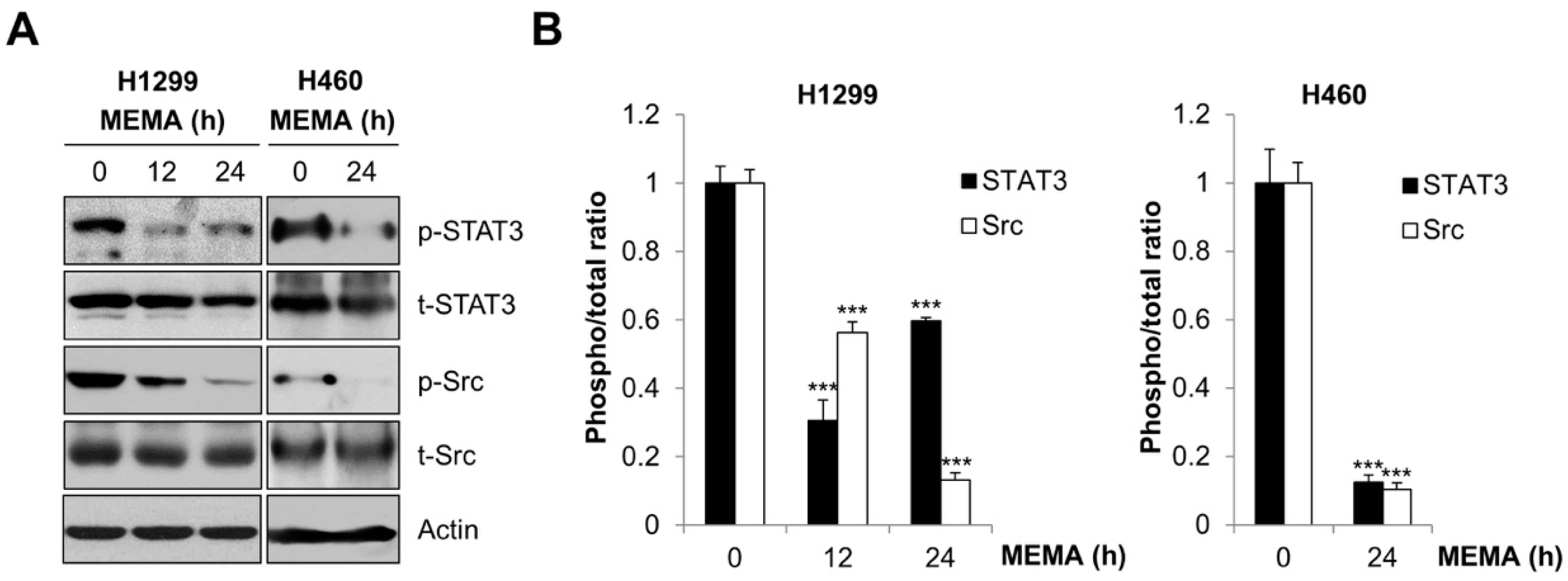 Ijms 20 02244 g005 Ijms 20 02244 g005