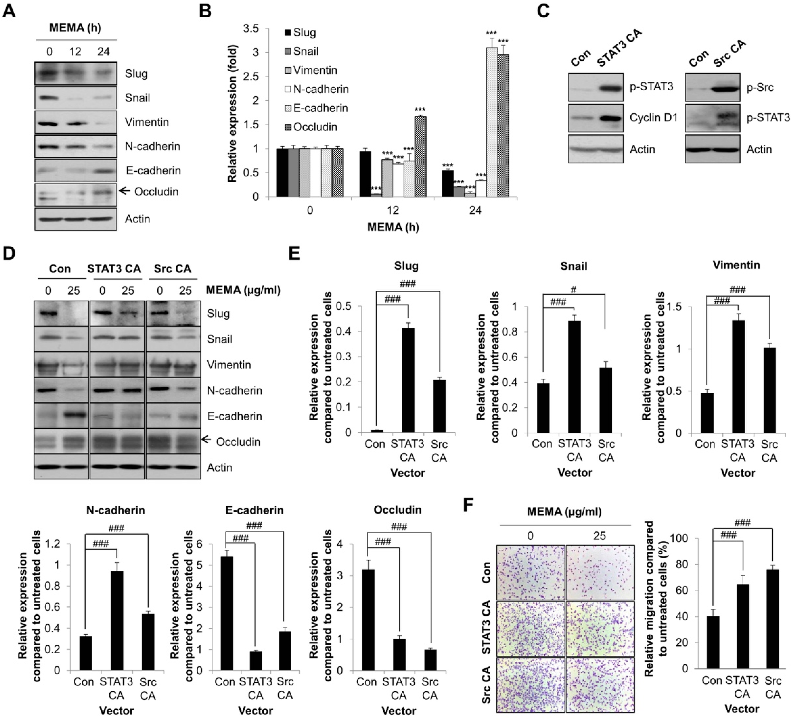 Ijms 20 02244 g006 Ijms 20 02244 g006