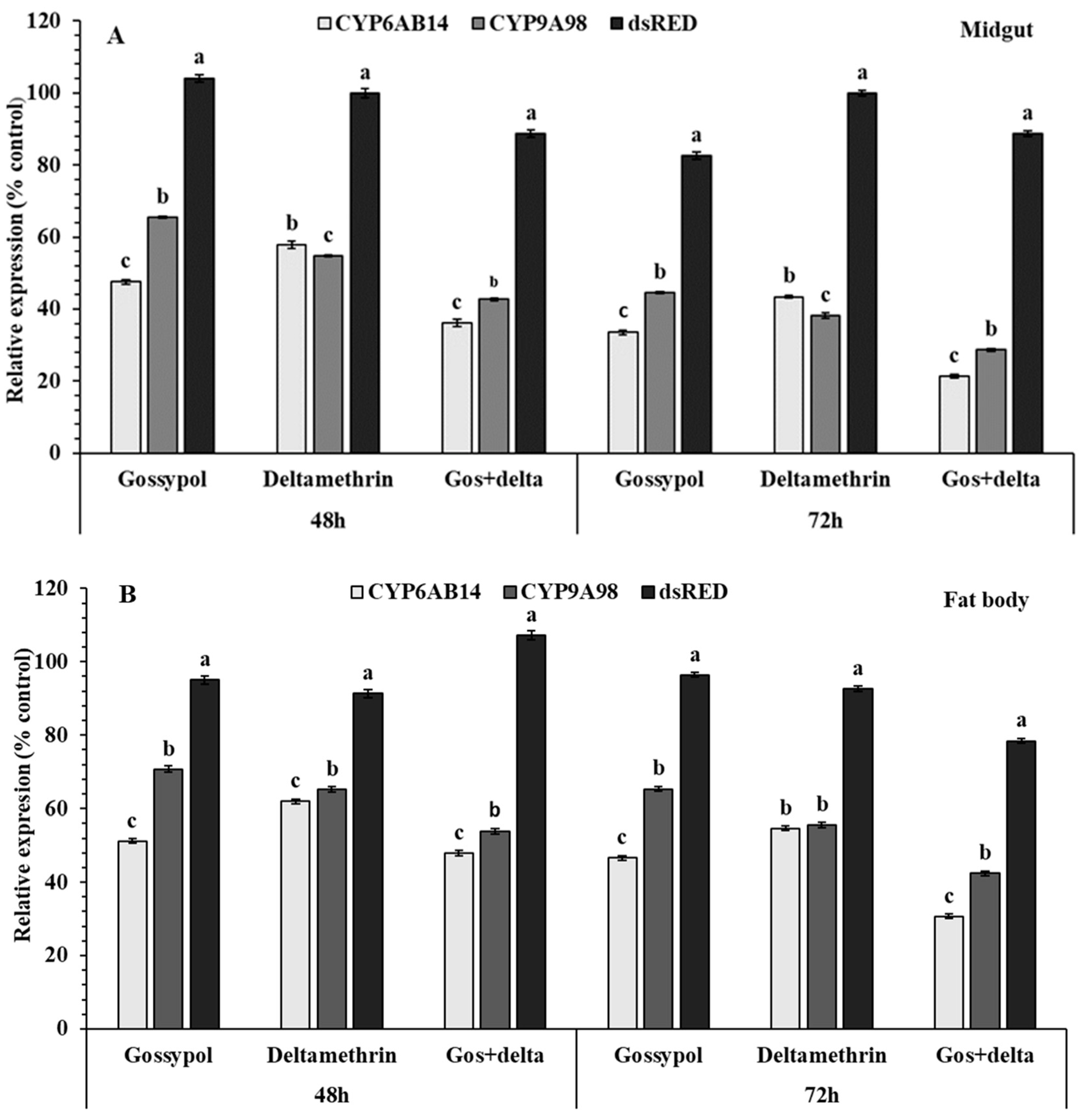 Ijms 20 02248 g006 Ijms 20 02248 g006