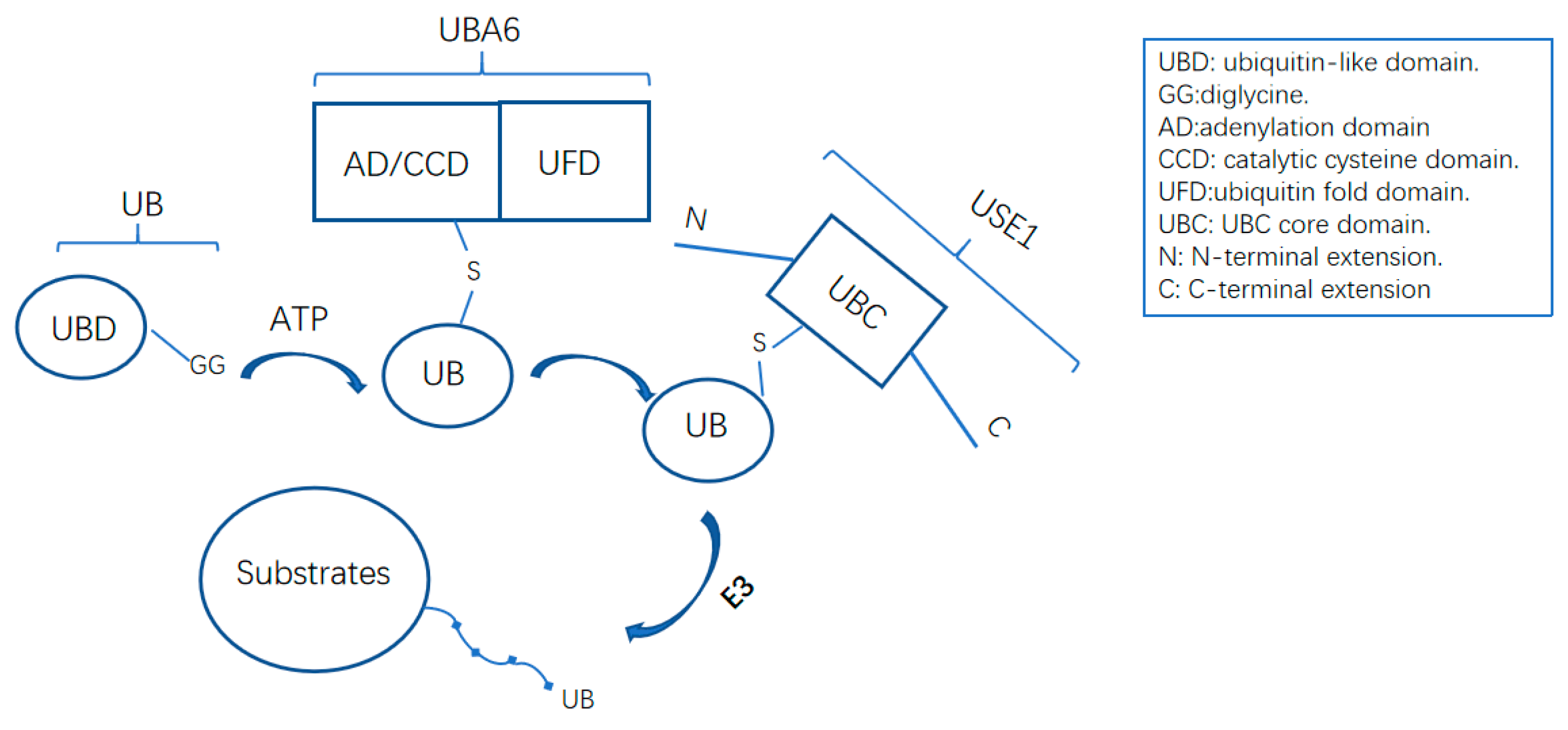 Ijms 20 02250 g002 Ijms 20 02250 g002