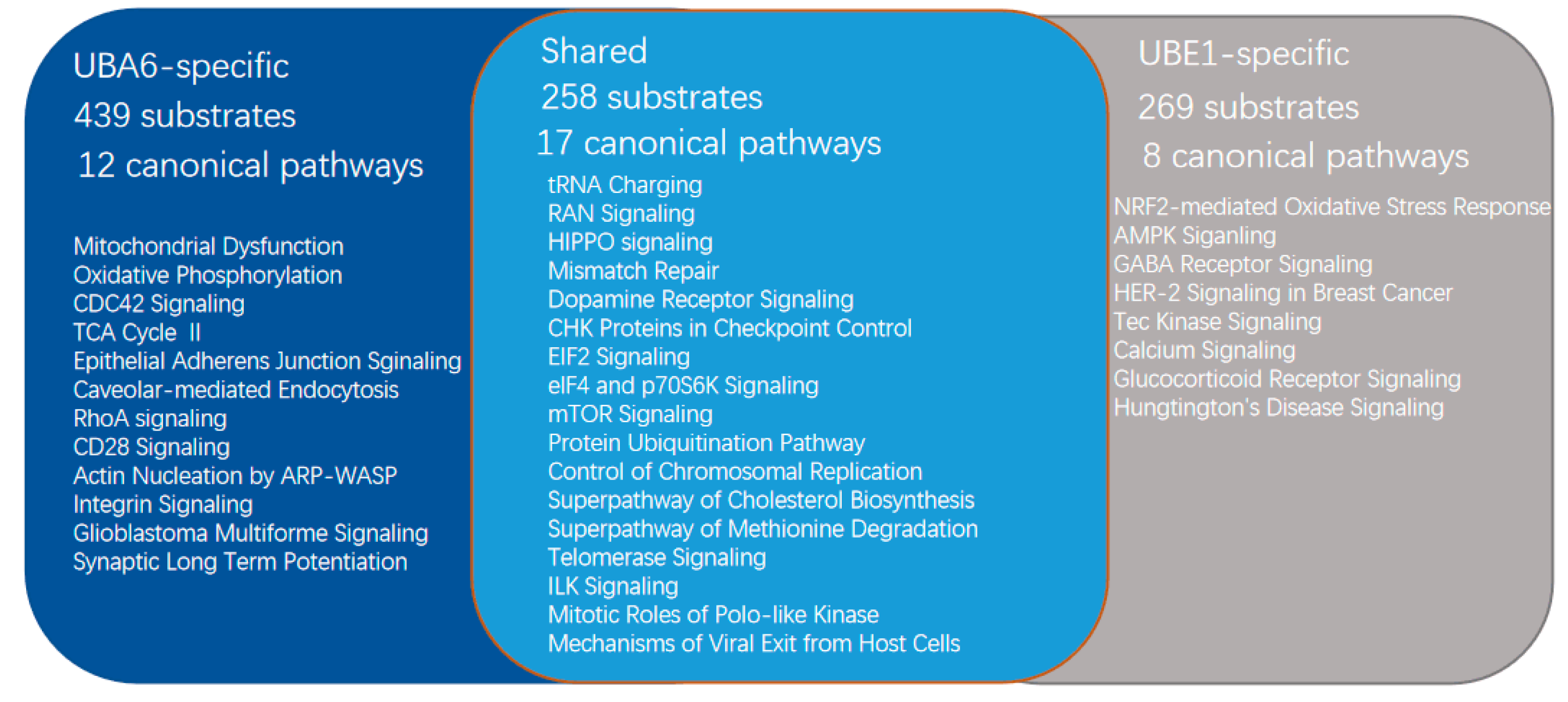 Ijms 20 02250 g003 Ijms 20 02250 g003
