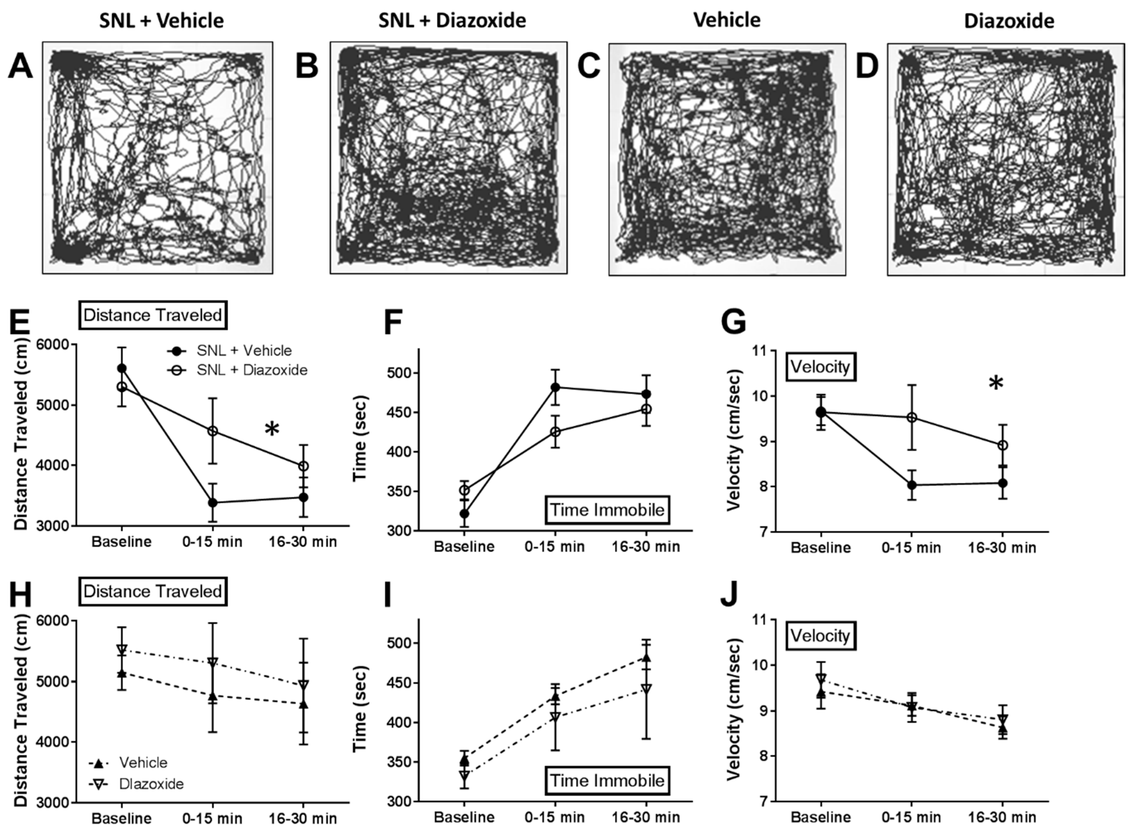 Ijms 20 02251 g007 Ijms 20 02251 g007