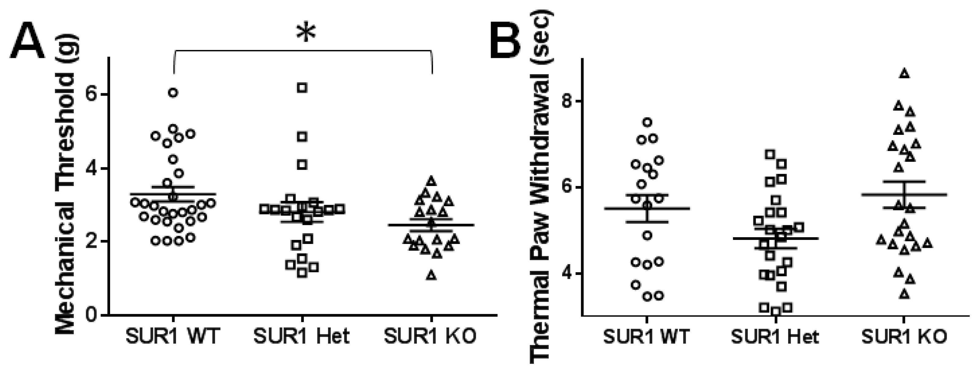 Ijms 20 02251 g008 Ijms 20 02251 g008