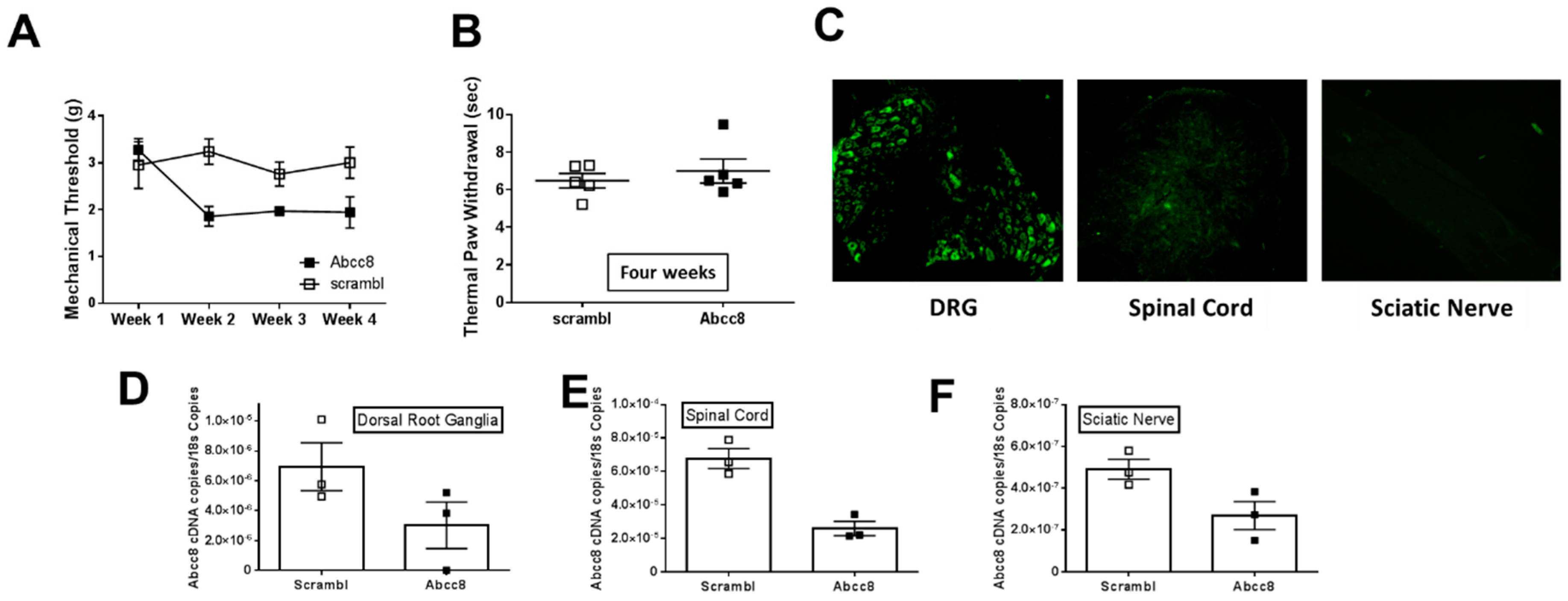 Ijms 20 02251 g009 Ijms 20 02251 g009