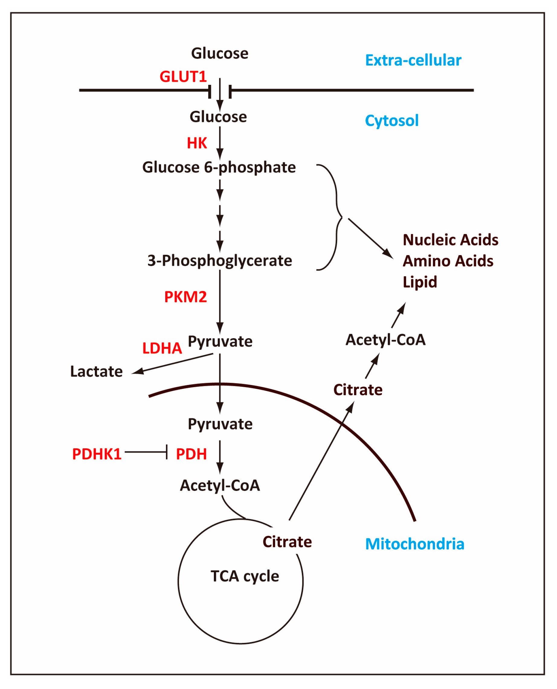 Ijms 20 02254 g001 Ijms 20 02254 g001