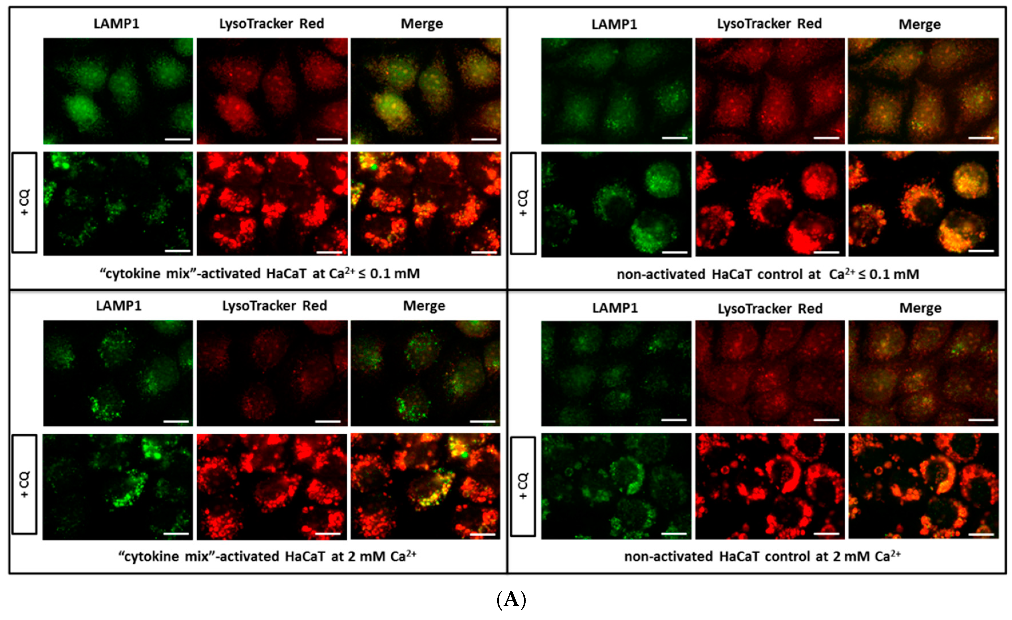 Ijms 20 02255 g001a 550