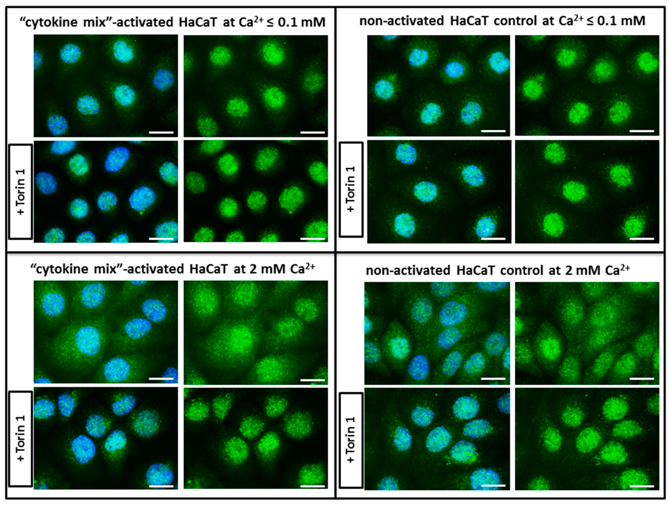 Ijms 20 02255 g002 550