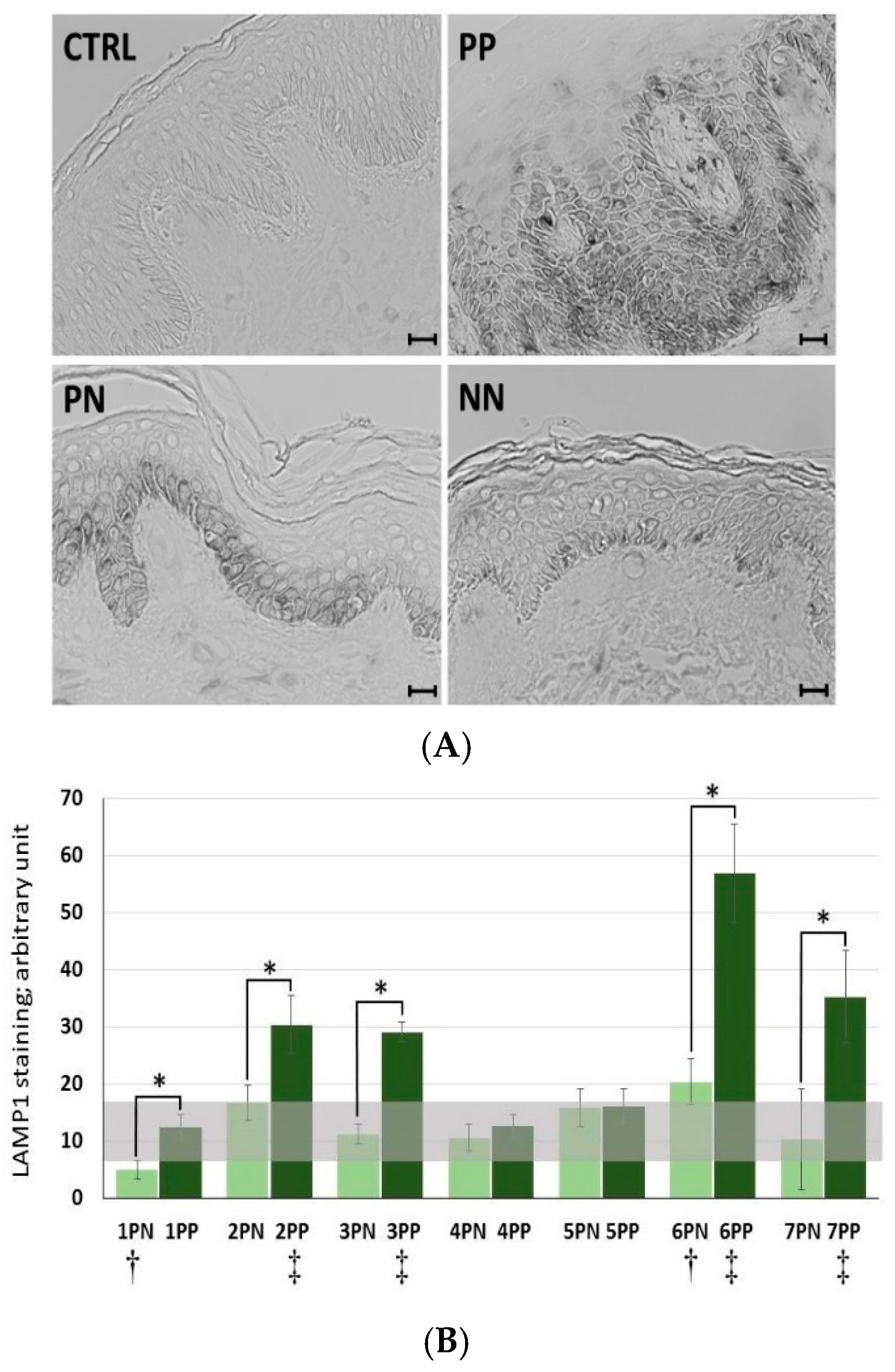 Ijms 20 02255 g004 550