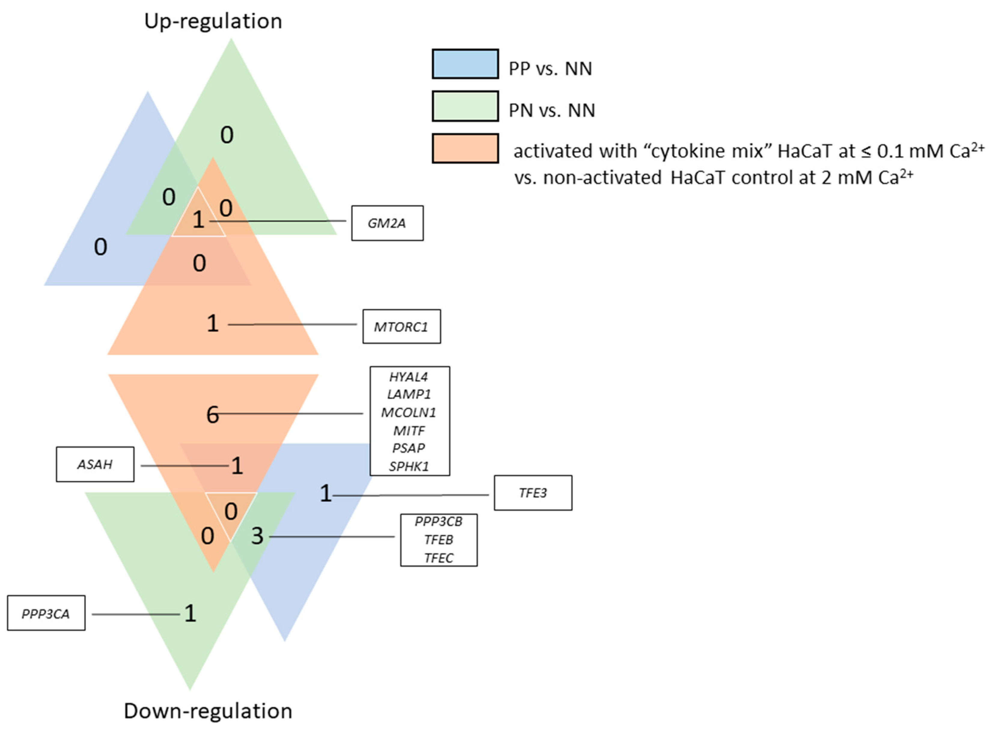 Ijms 20 02255 g005 550