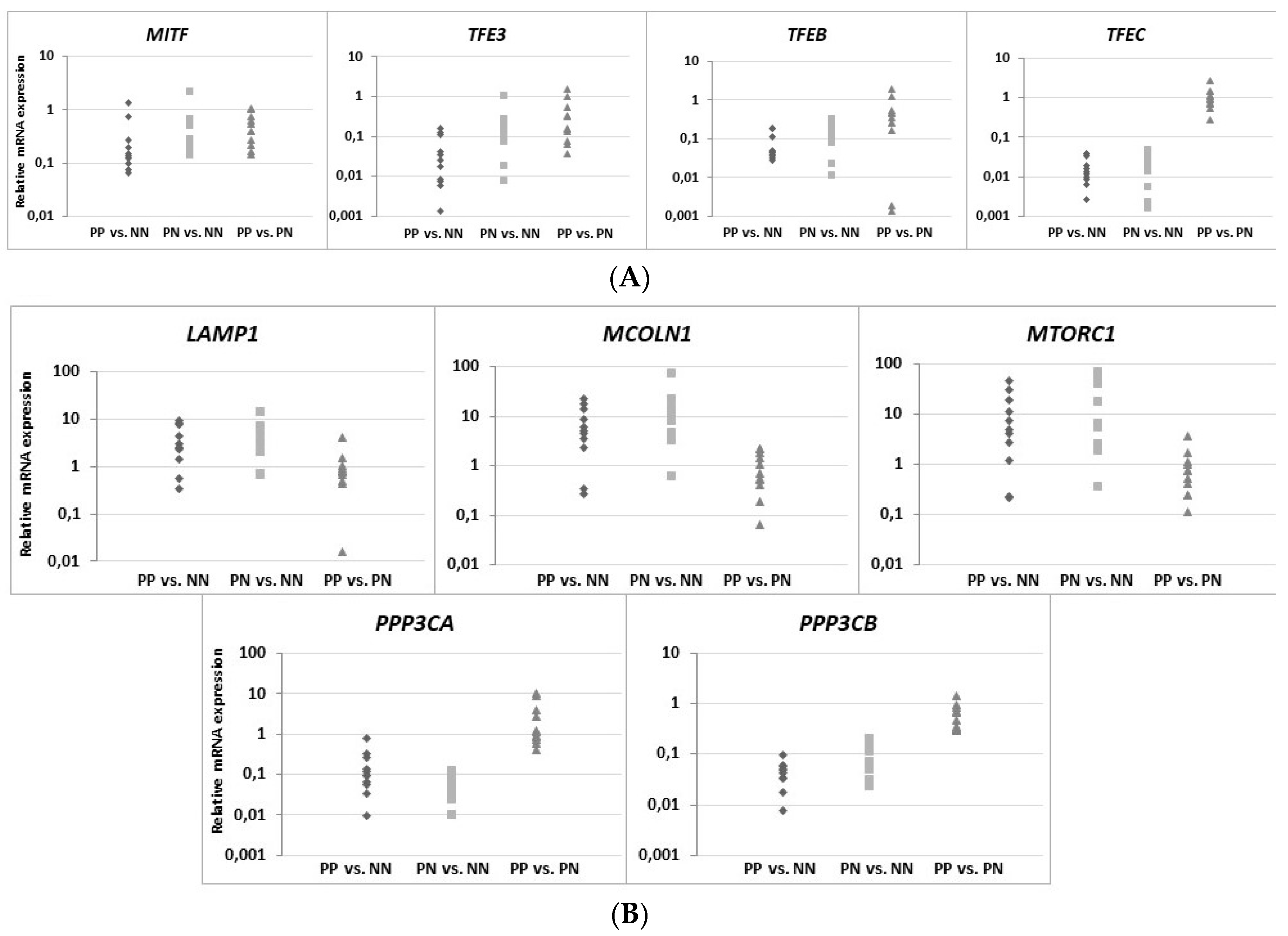 Ijms 20 02255 g006a 550