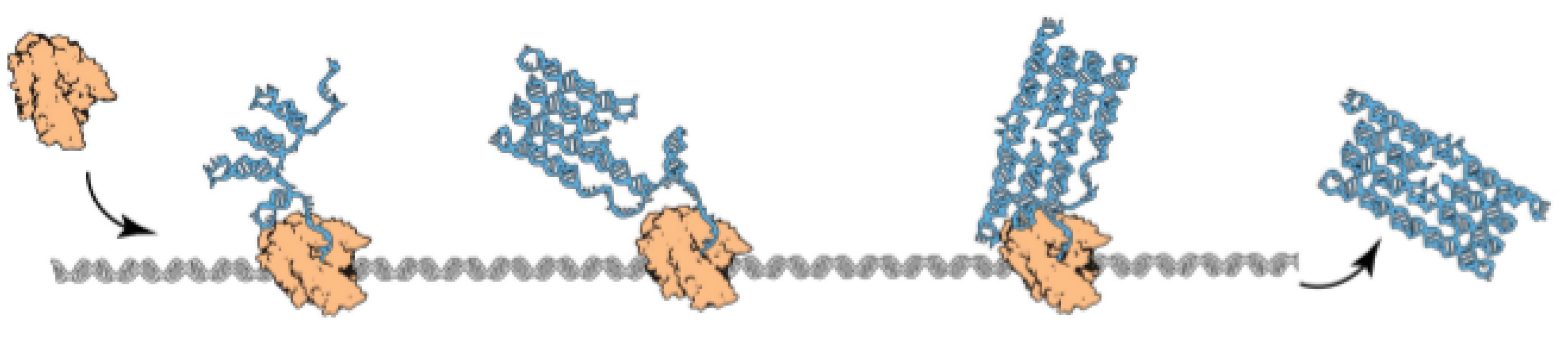 Ijms 20 02259 g001 550