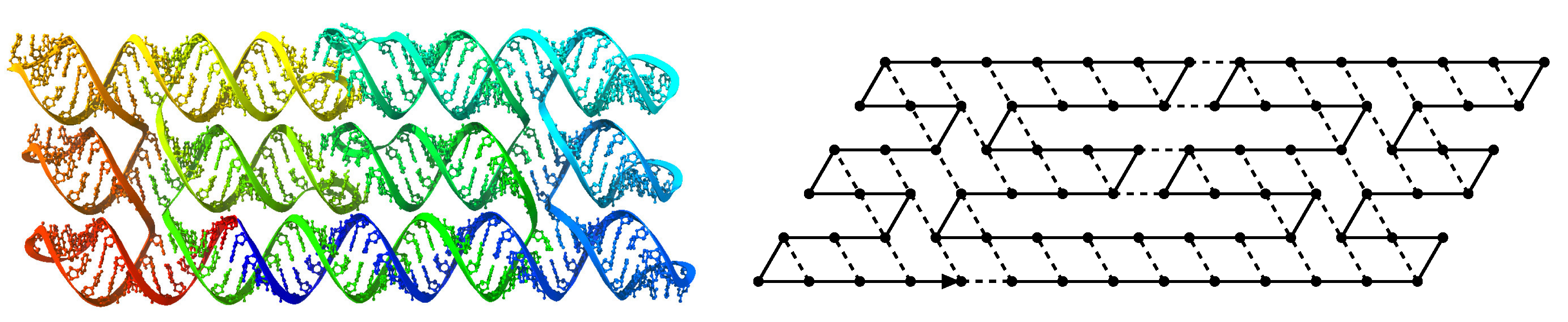 Ijms 20 02259 g002 550