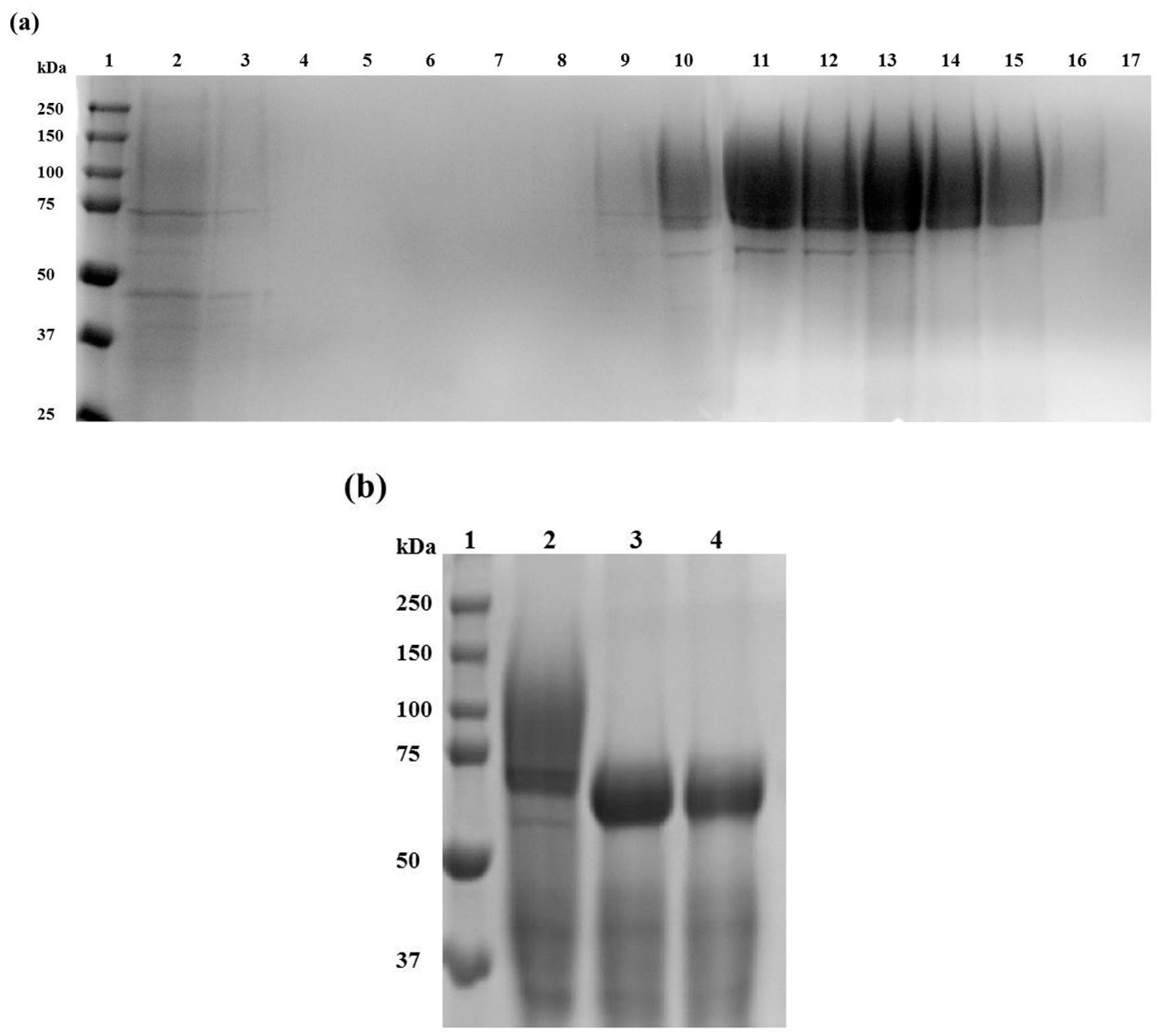 Ijms 20 02261 g002