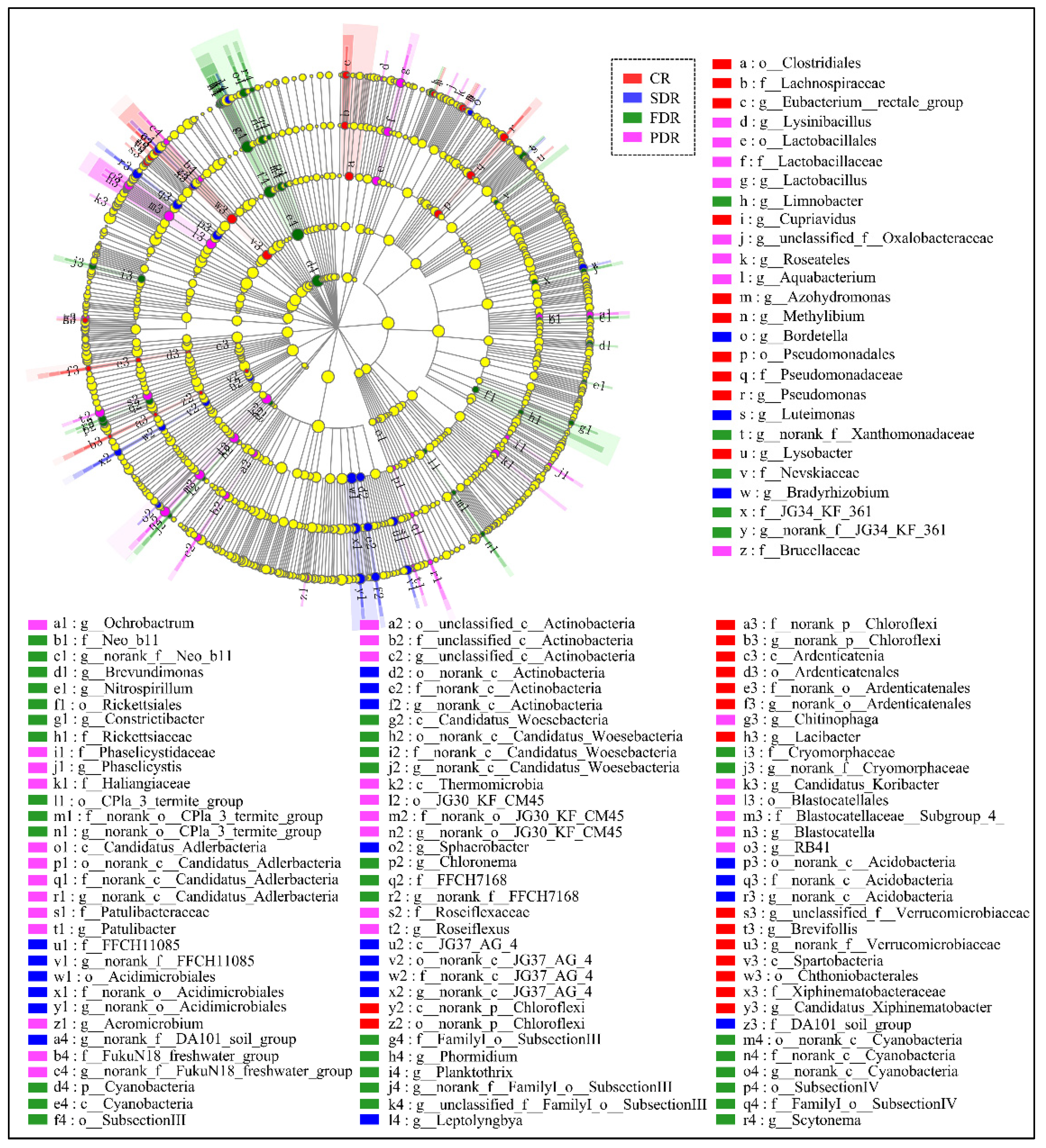Ijms 20 02265 g006 Ijms 20 02265 g006