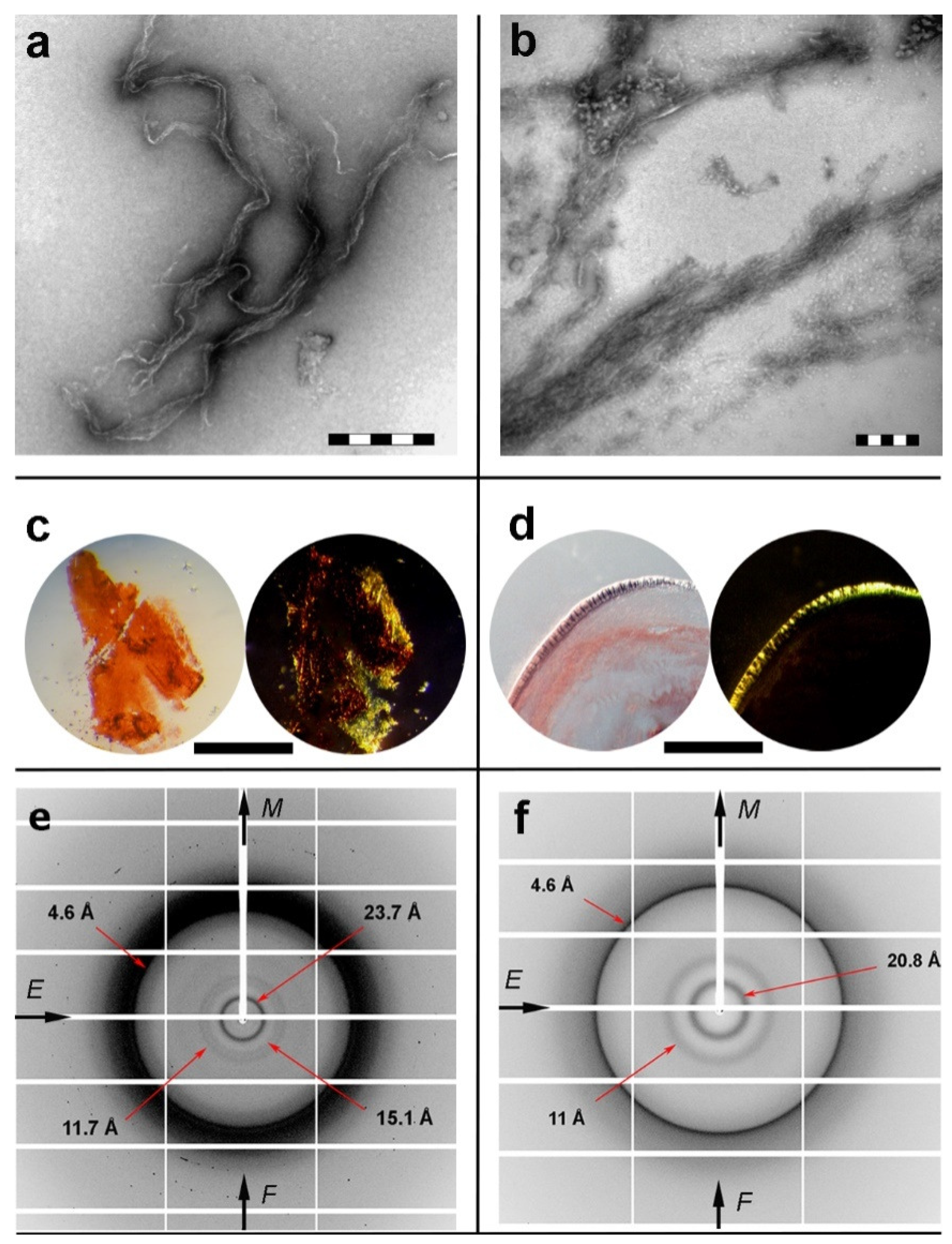 Ijms 20 02274 g002 Ijms 20 02274 g002
