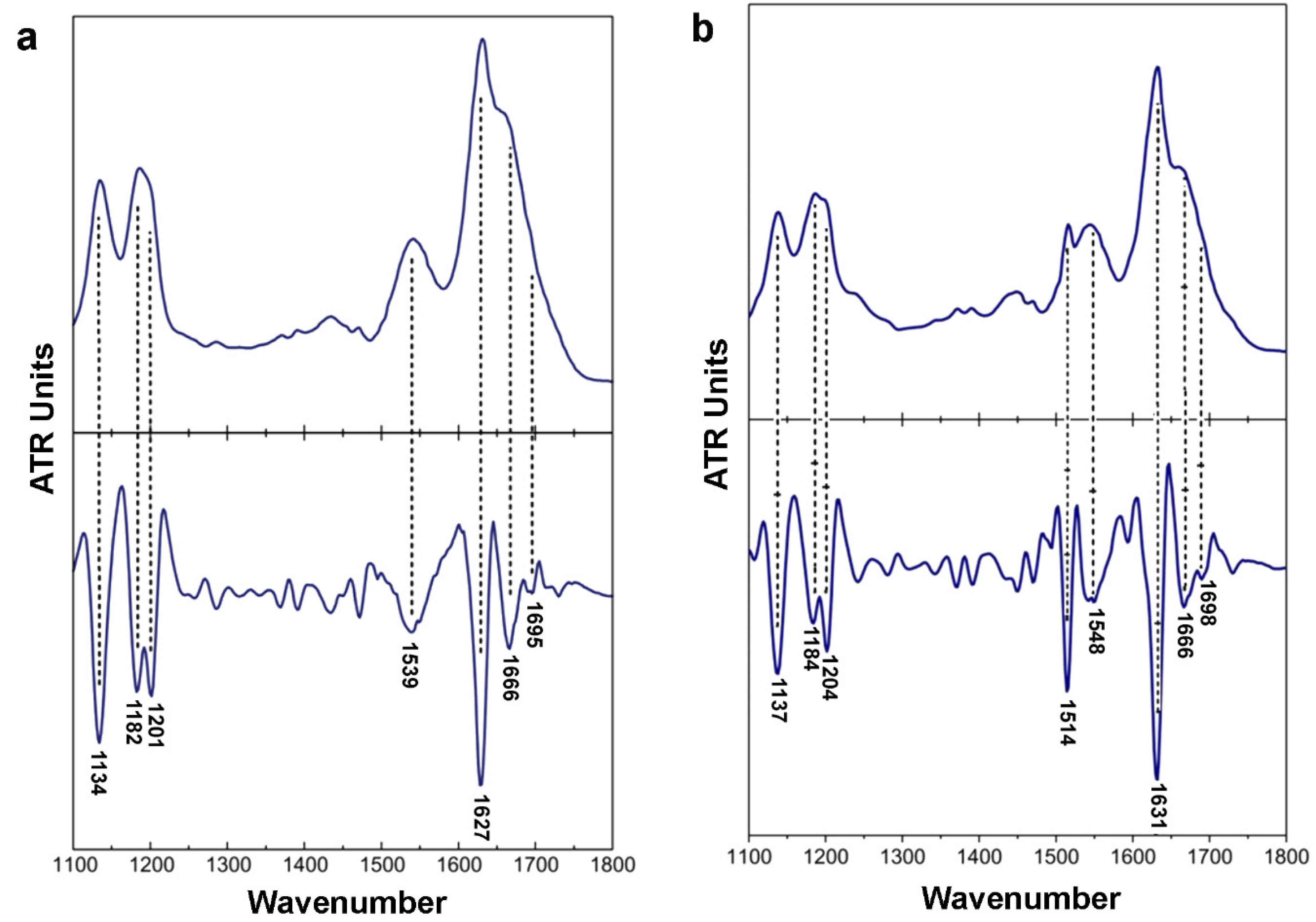 Ijms 20 02274 g003 Ijms 20 02274 g003