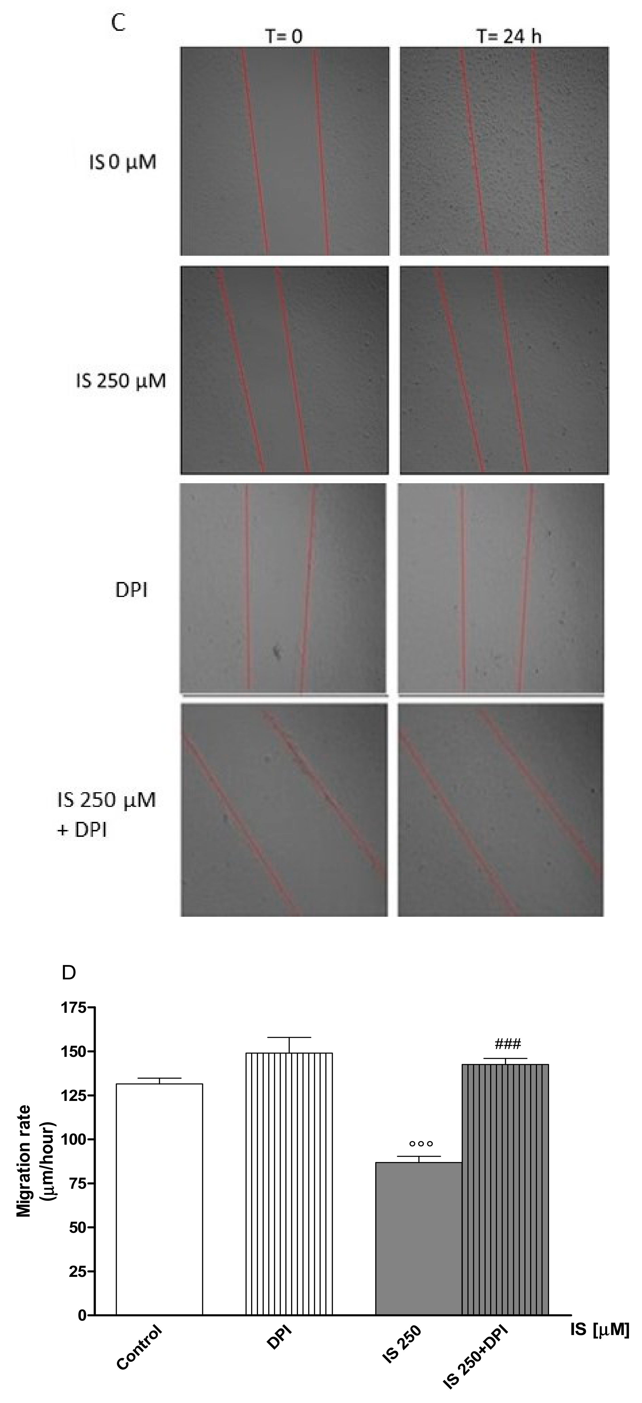 Ijms 20 02280 g003b Ijms 20 02280 g003b