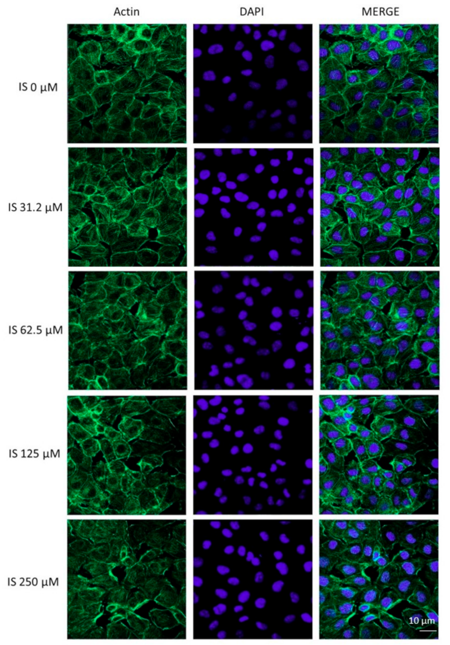 Ijms 20 02280 g004 Ijms 20 02280 g004