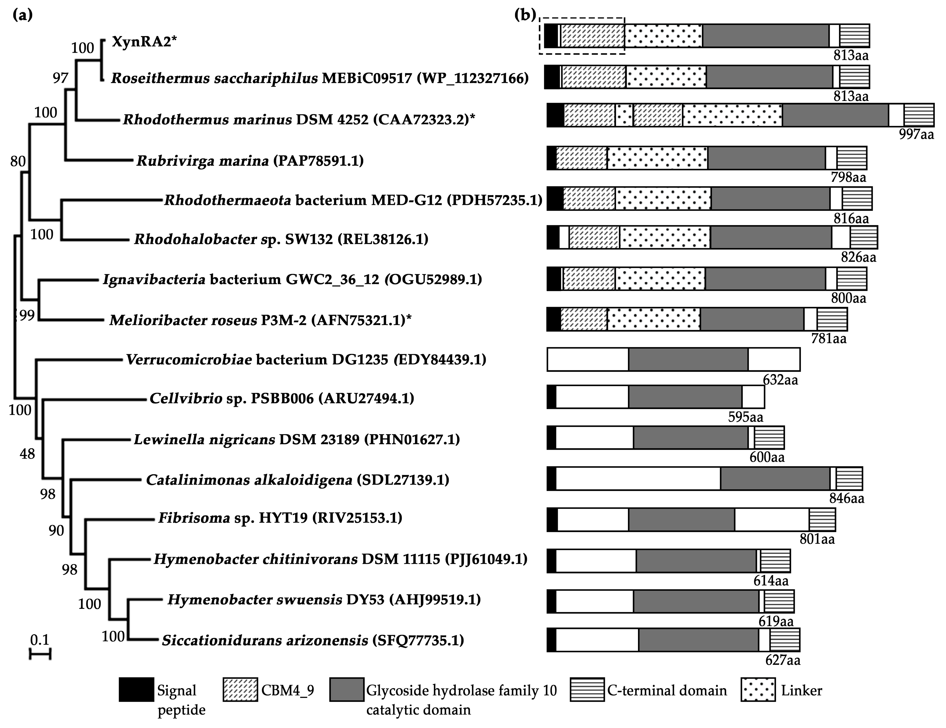 Ijms 20 02284 g001 Ijms 20 02284 g001