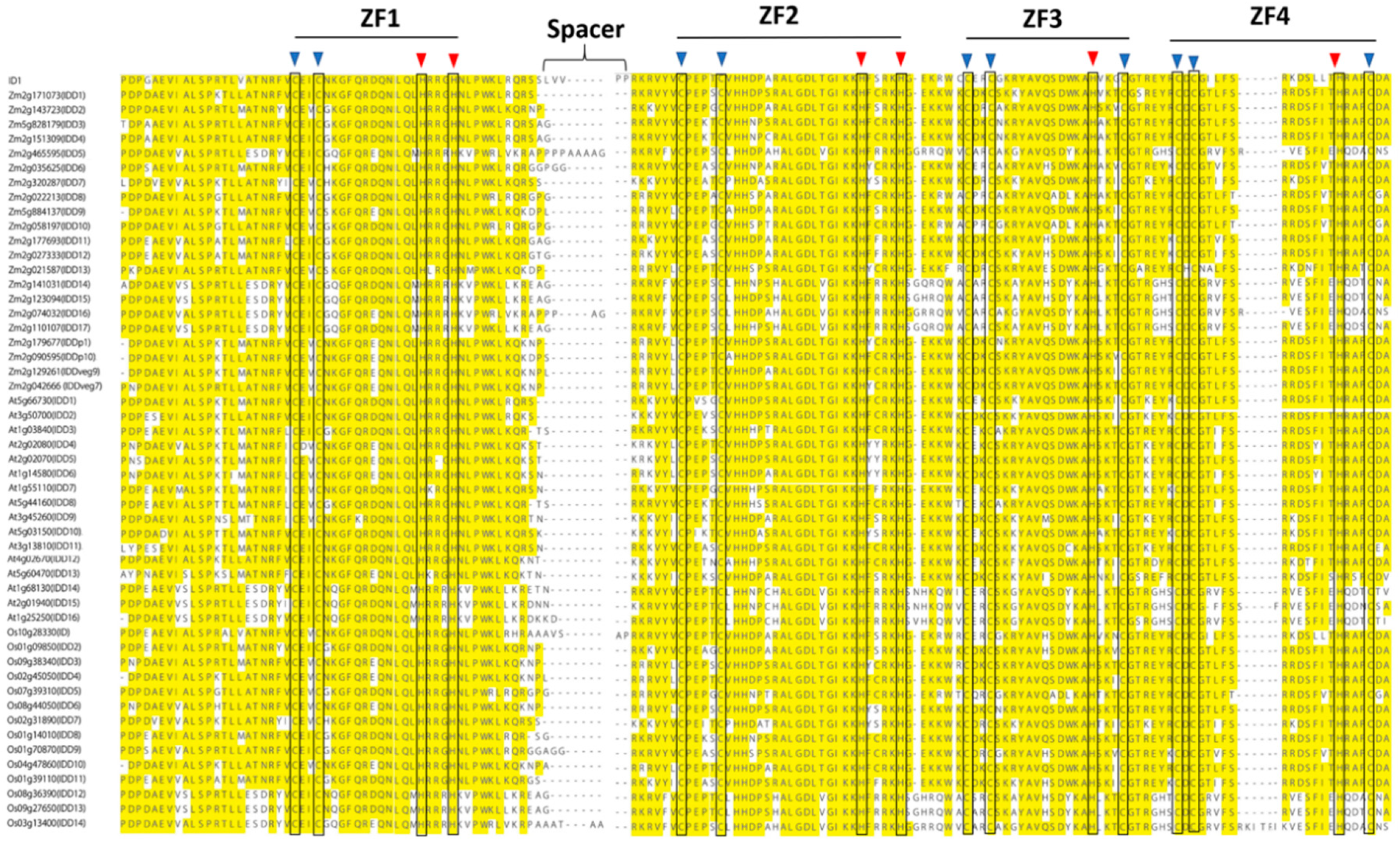 Ijms 20 02286 g002 Ijms 20 02286 g002