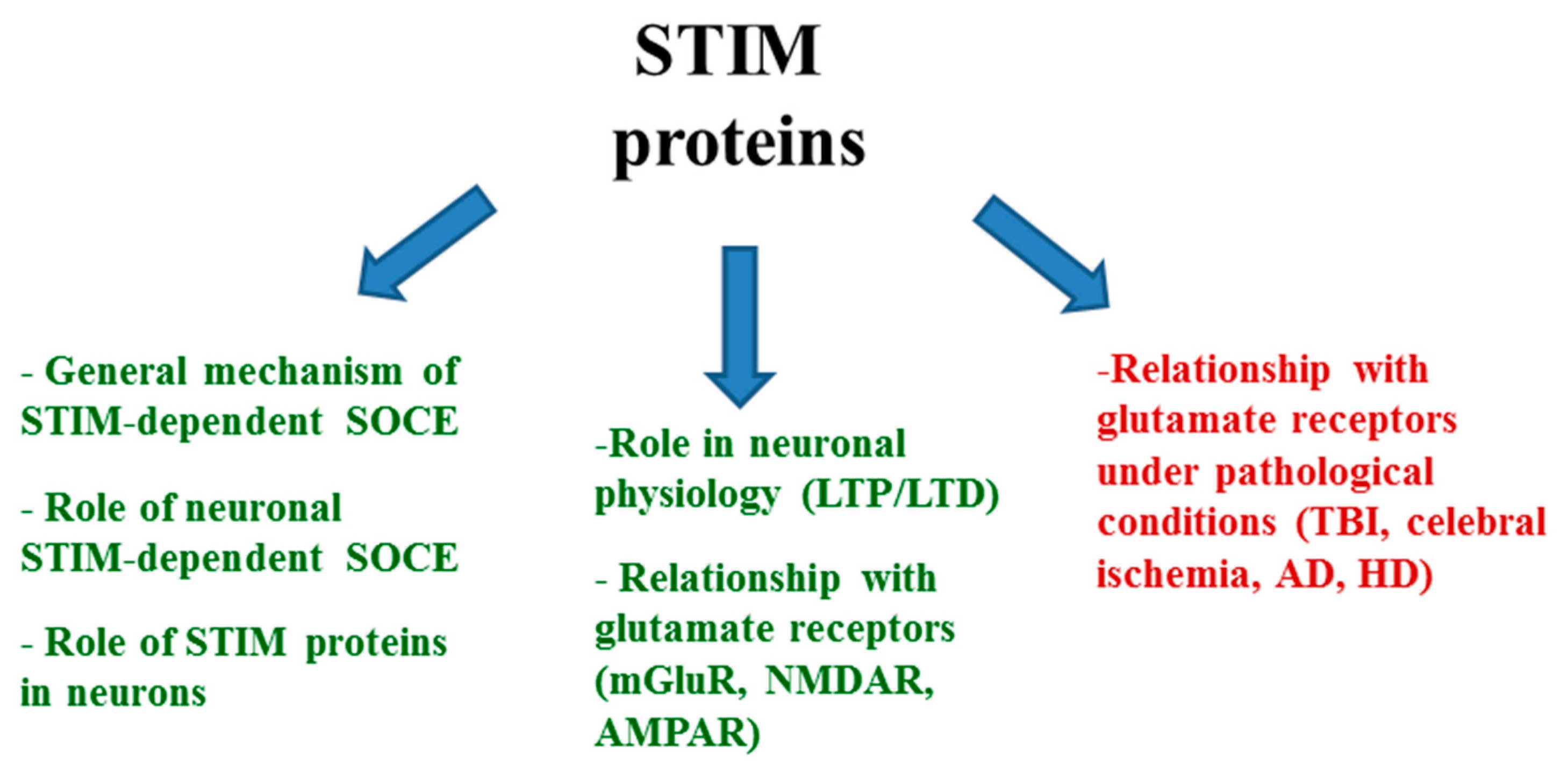 Ijms 20 02289 g001 Ijms 20 02289 g001
