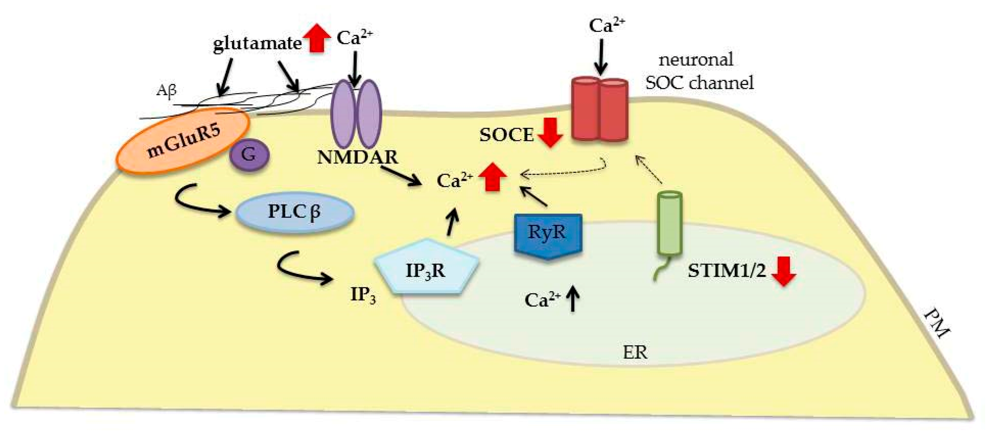 Ijms 20 02289 g005 Ijms 20 02289 g005