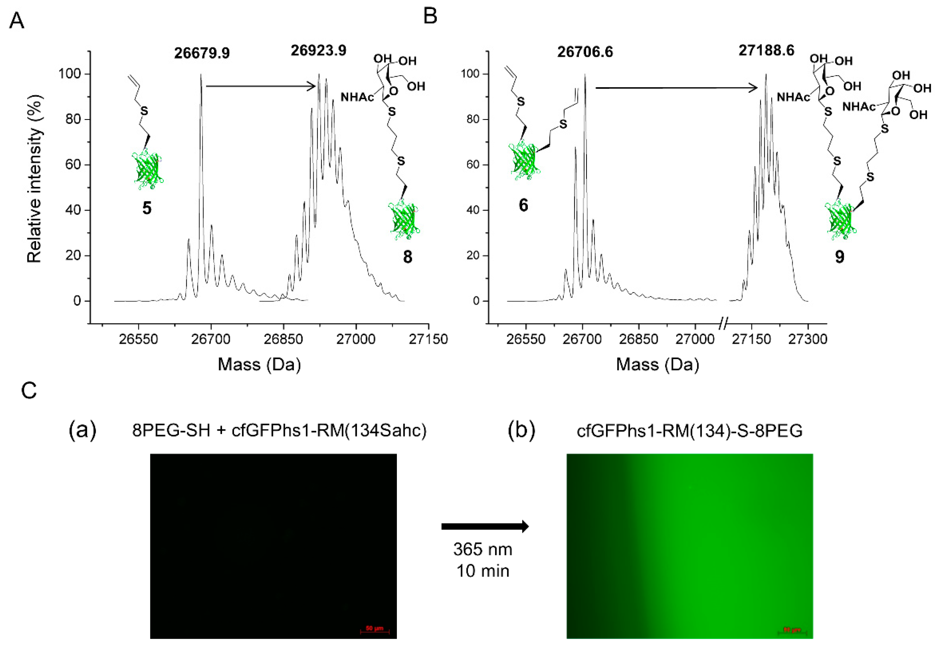 Ijms 20 02299 g001