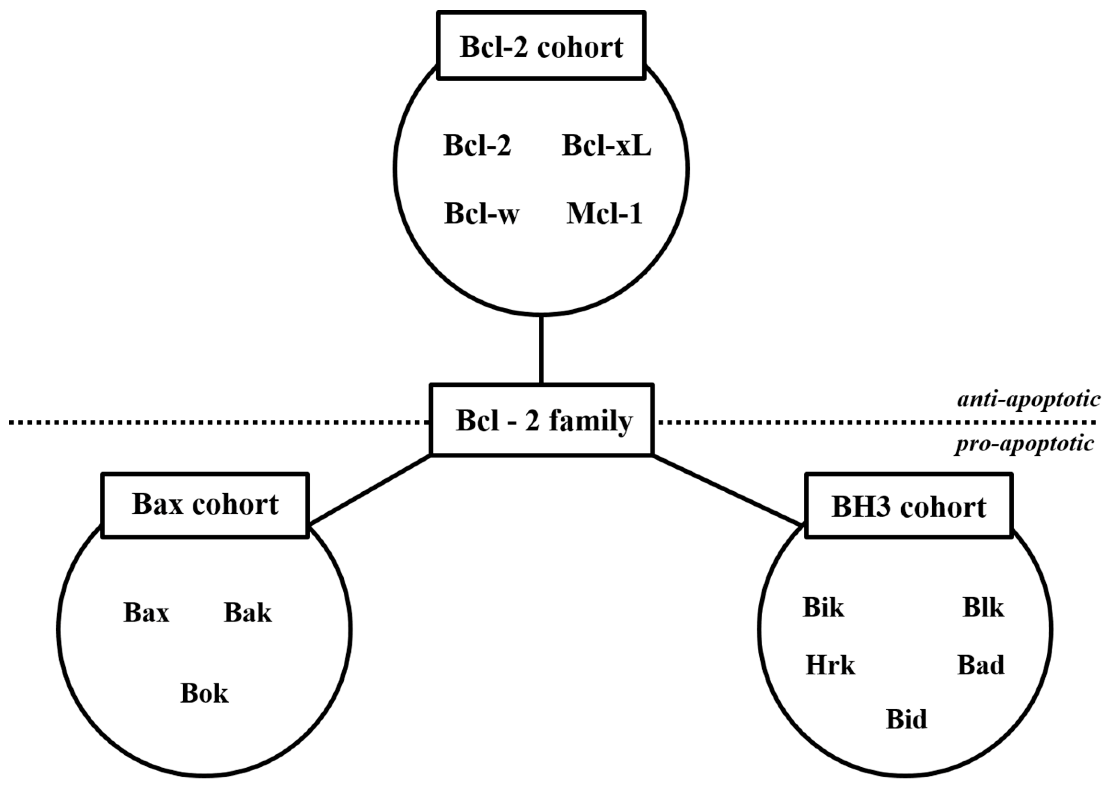 Ijms 20 02302 g002 Ijms 20 02302 g002